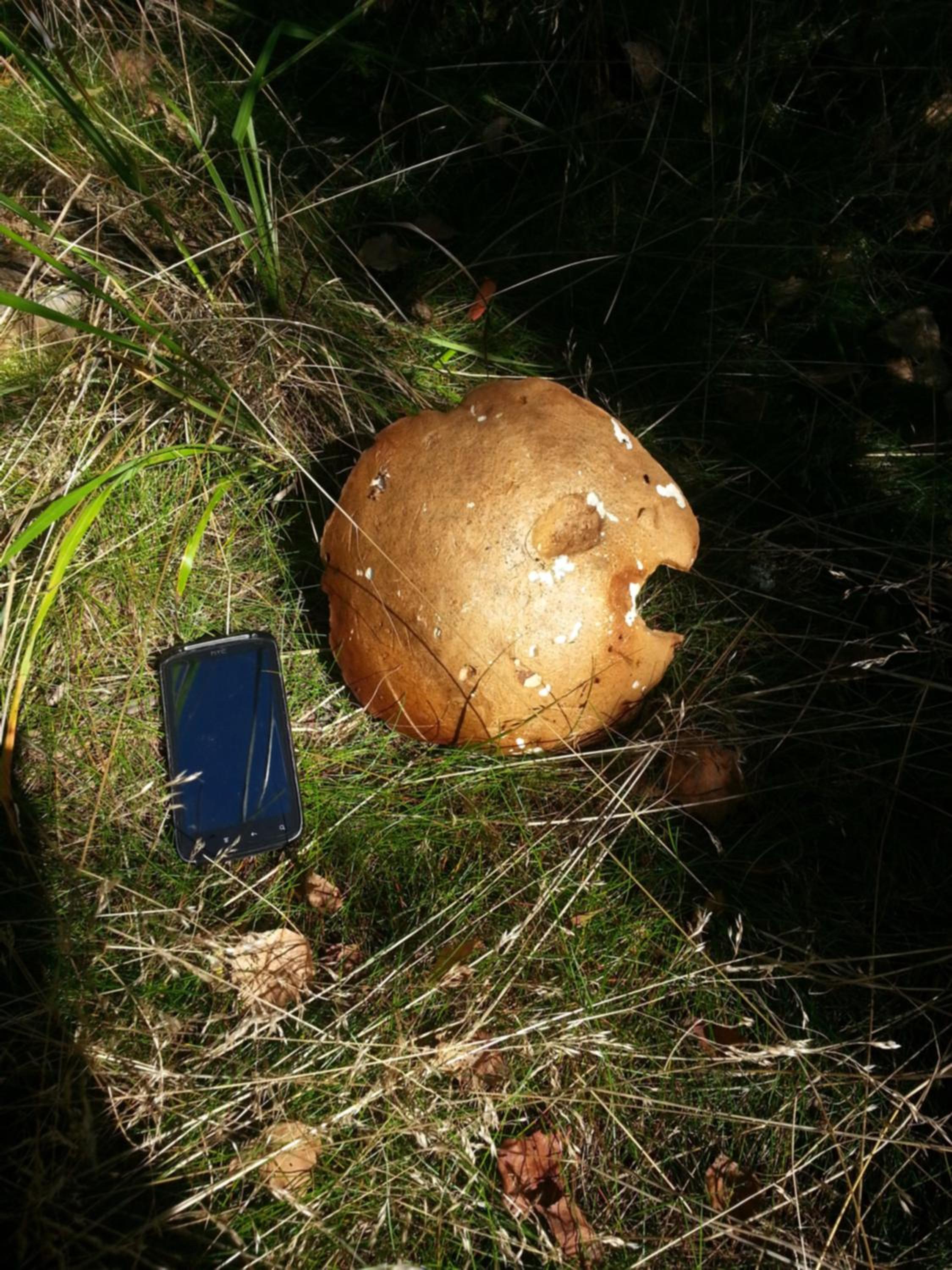 Photo 30