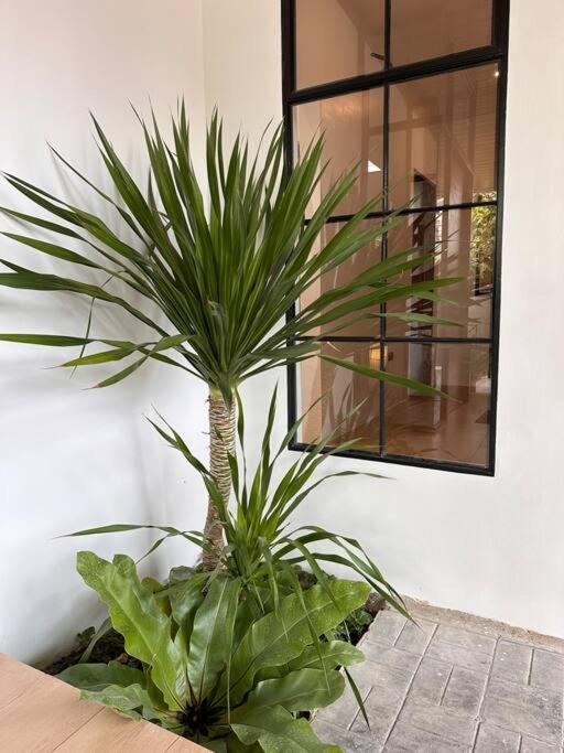 Yucca Villa - Stylish City Retreat view 5