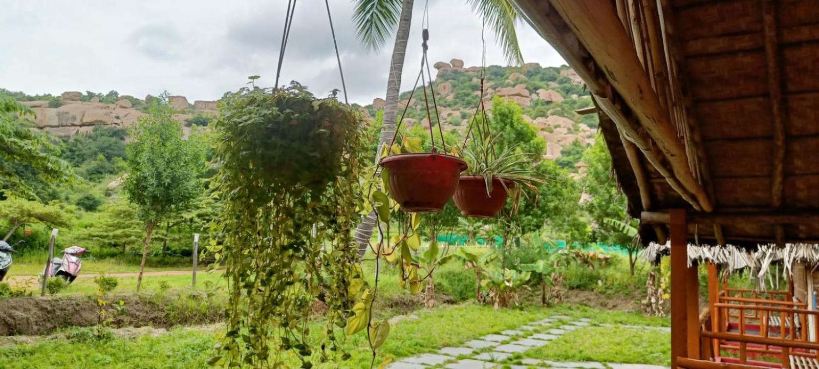Hampi WildStone