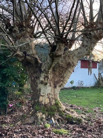 Gîte La Grange de Pardies Classé 2 étoiles