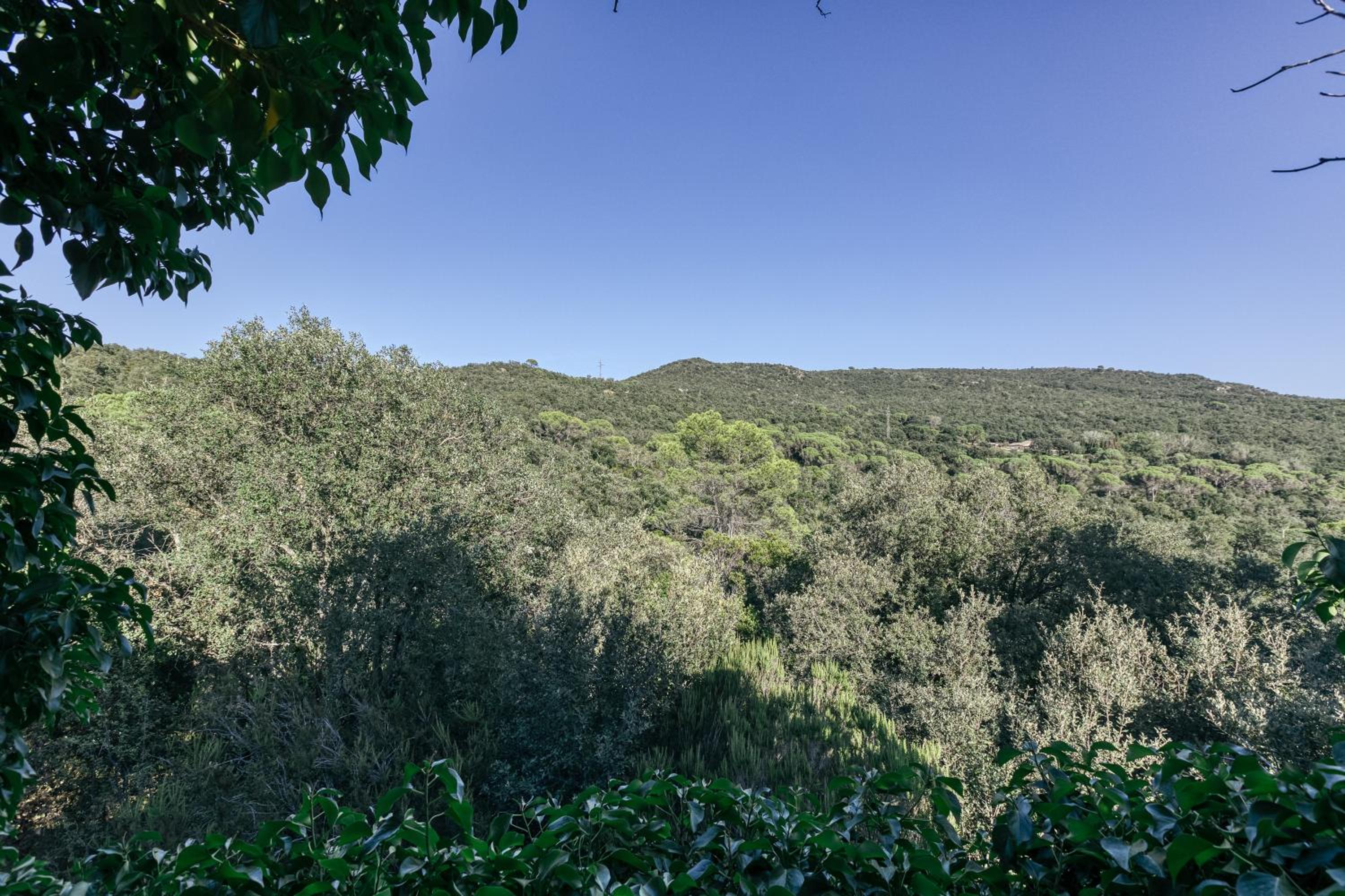 Masia Rustica Costa Brava