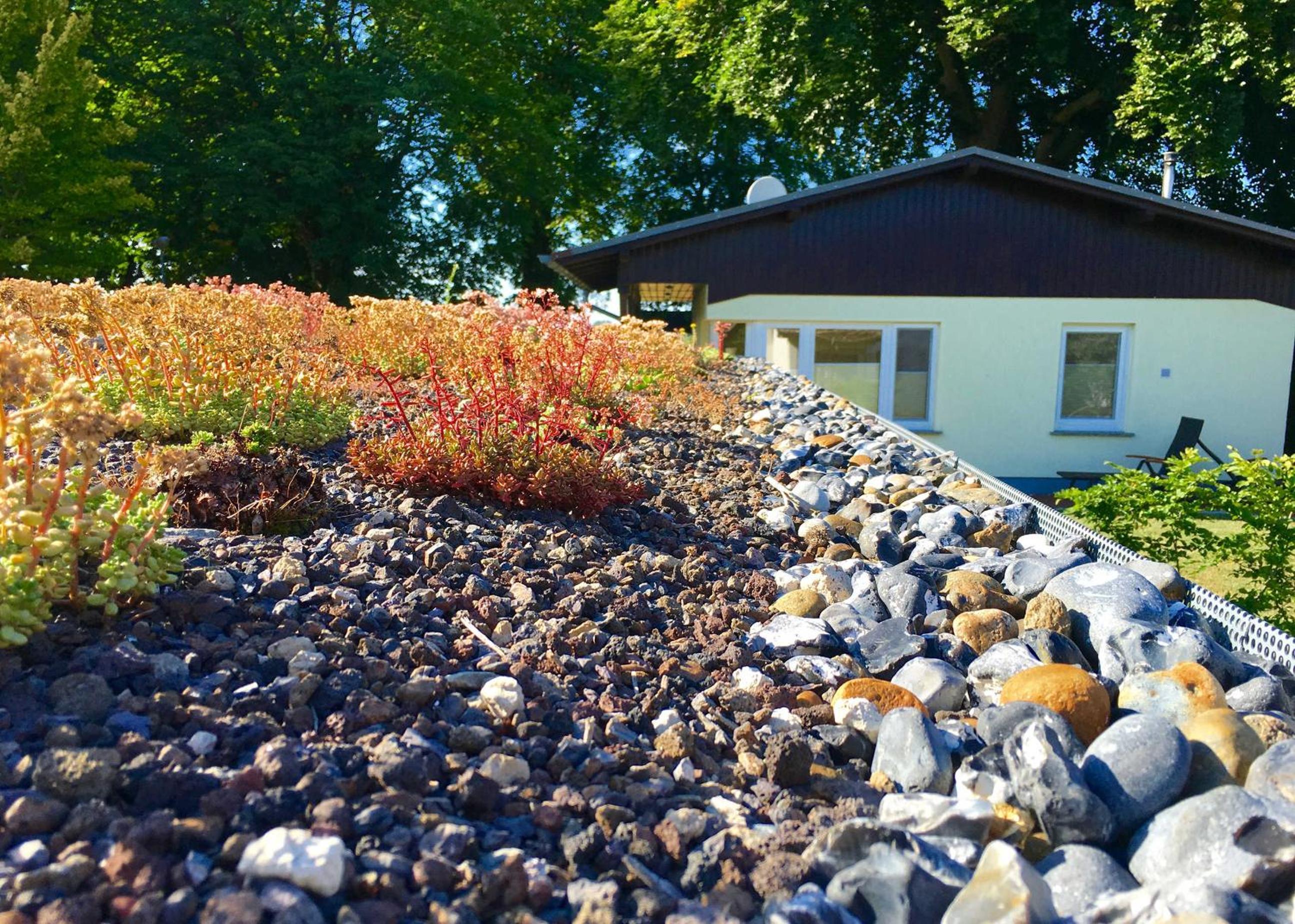 Ferienhaus Boddenhus