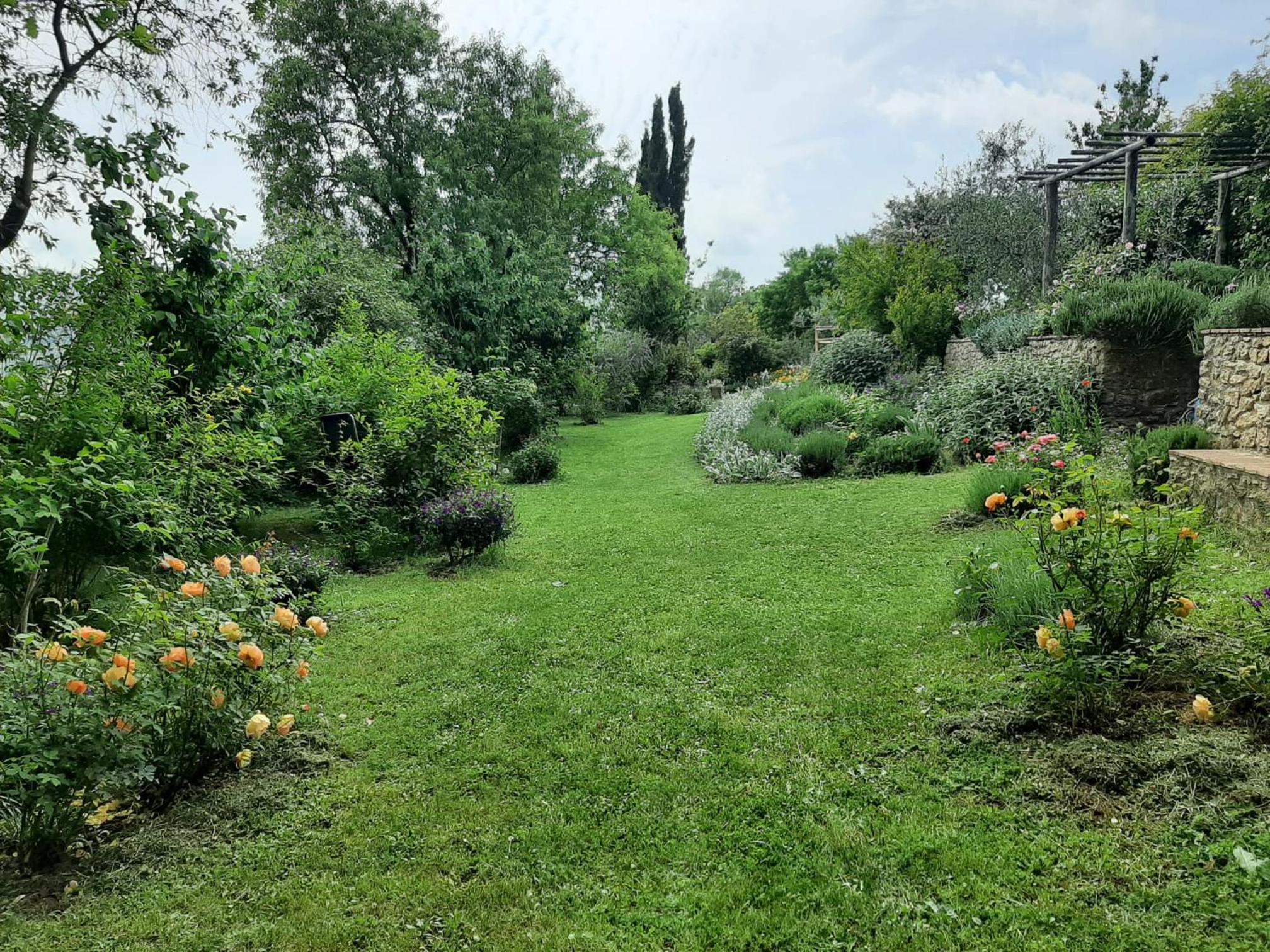 PERGOLA at Le Pietraie a cottage with many flowers view 4