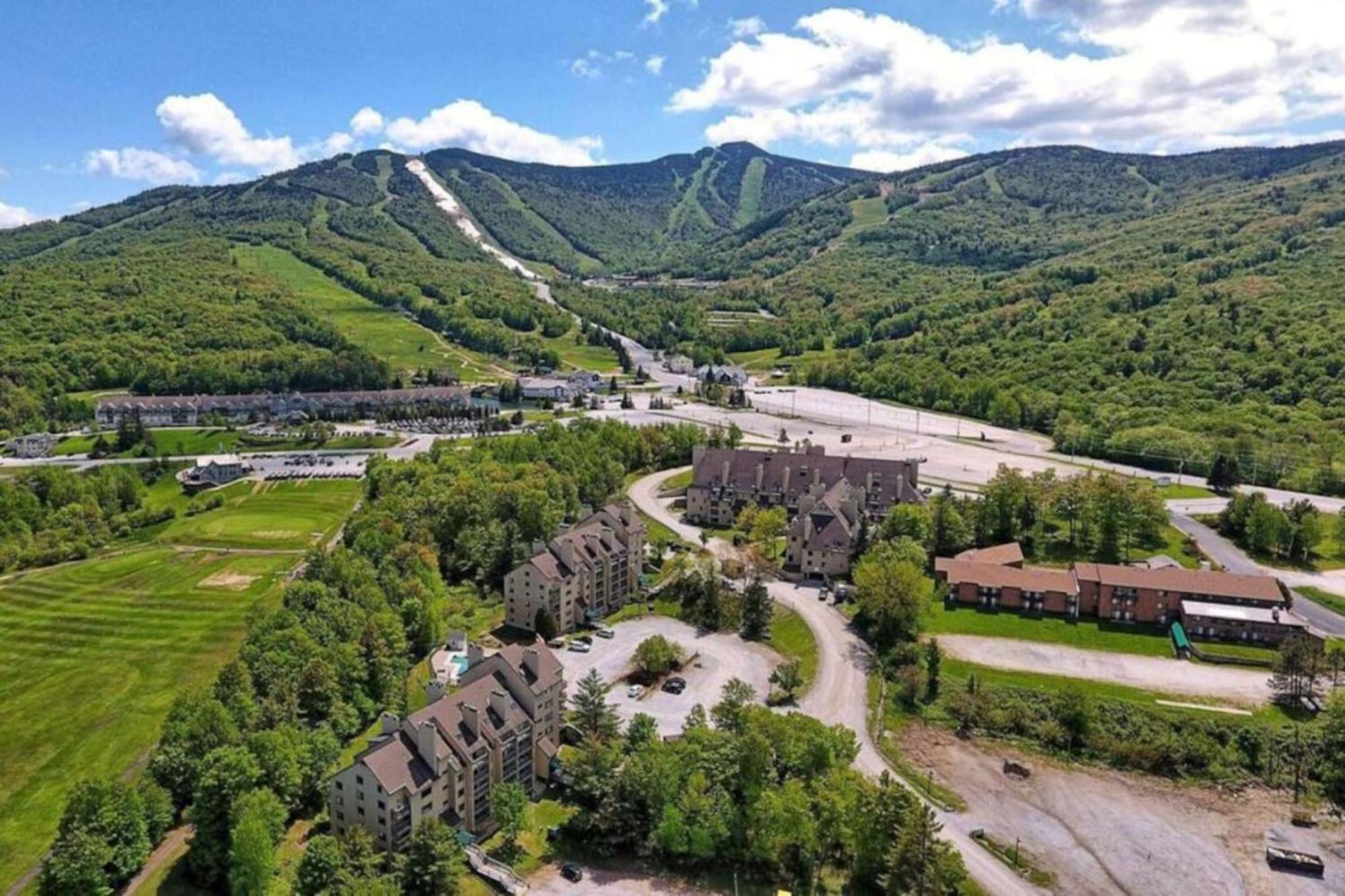BearTrax- Pool, Hot tub, Gym, Sauna, Near Resort