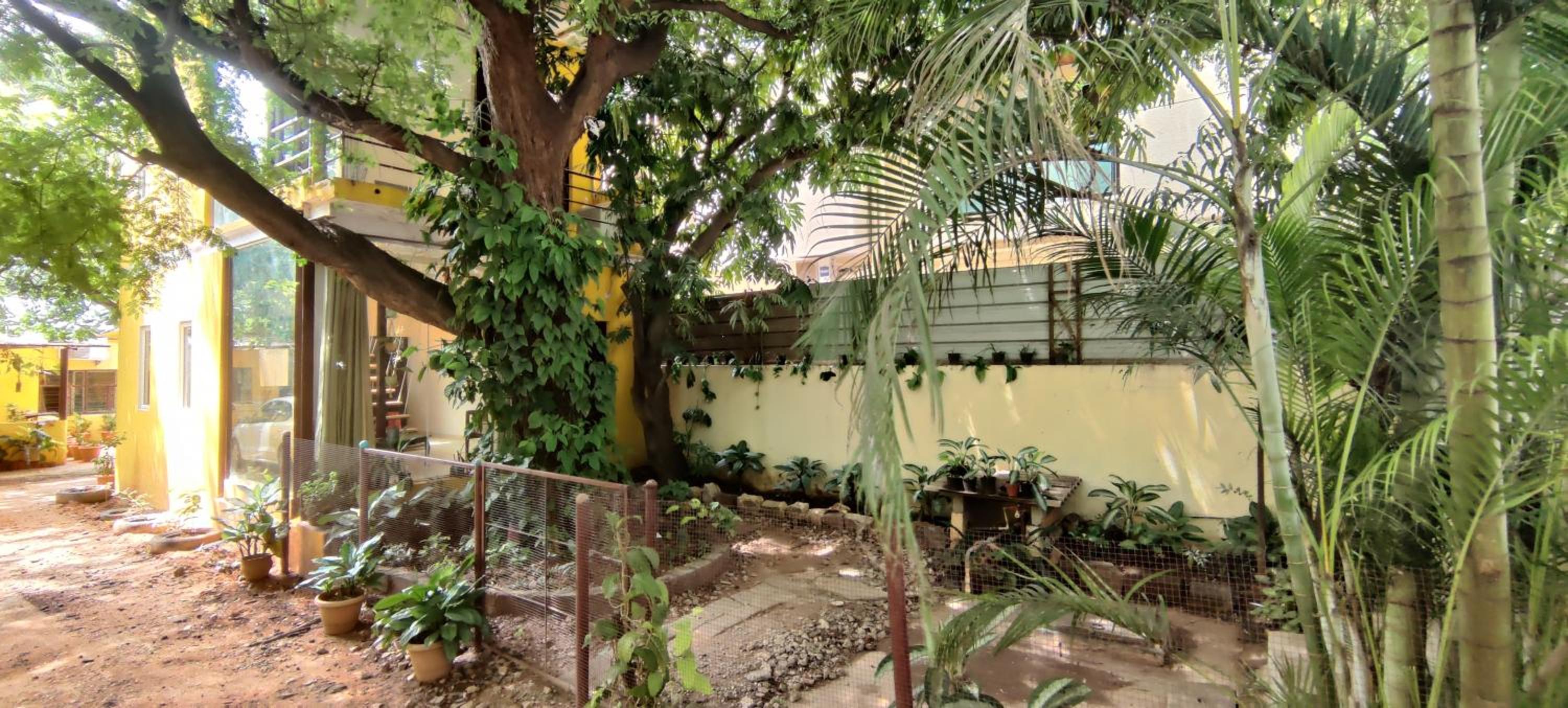 The Sunshine Bungalow