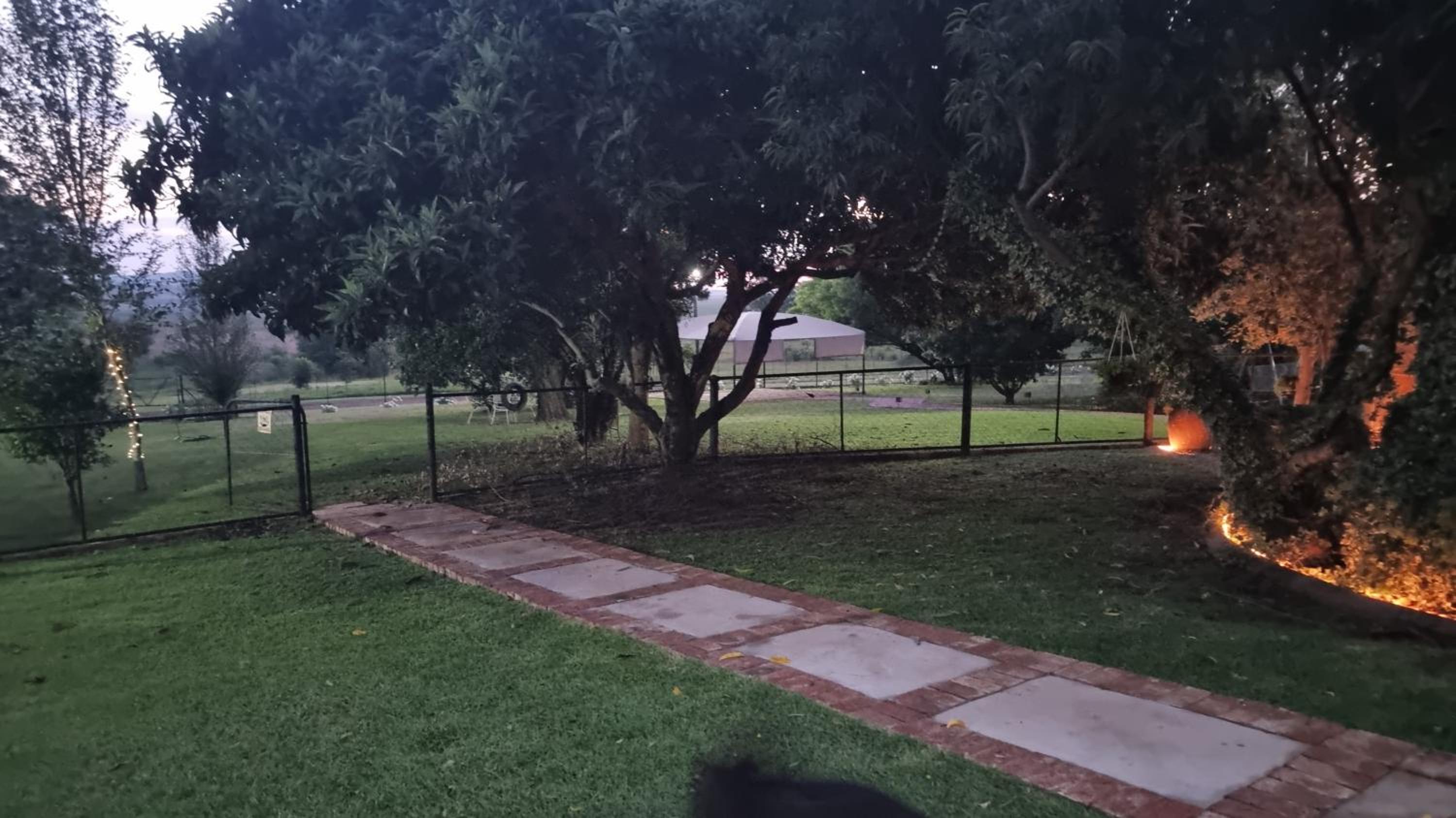 Photo 23
