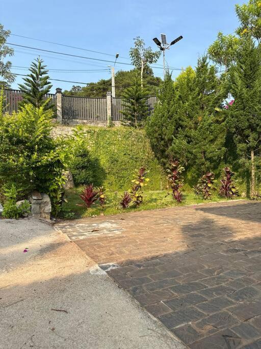 Pine Villa