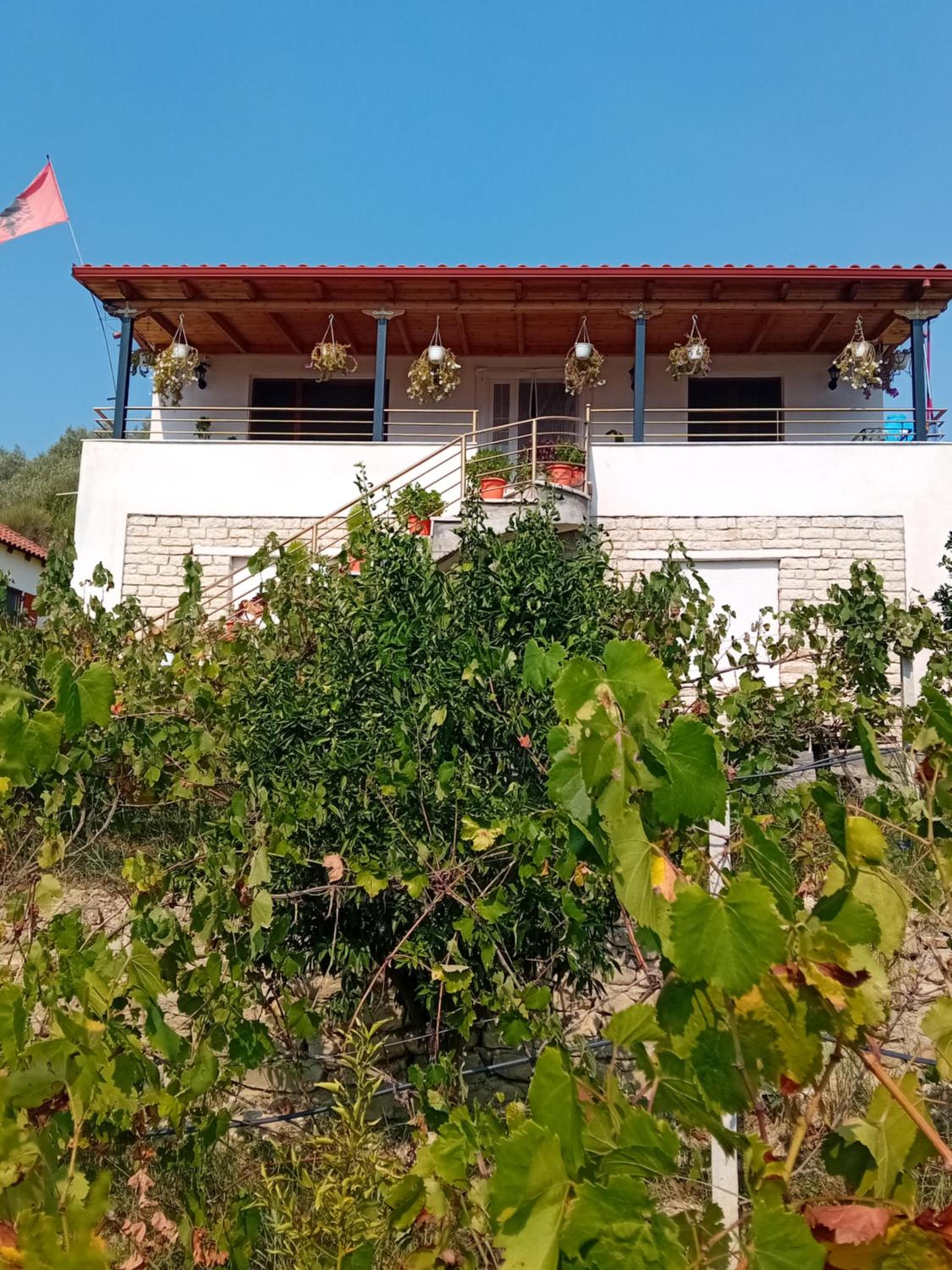 Villa Rexho