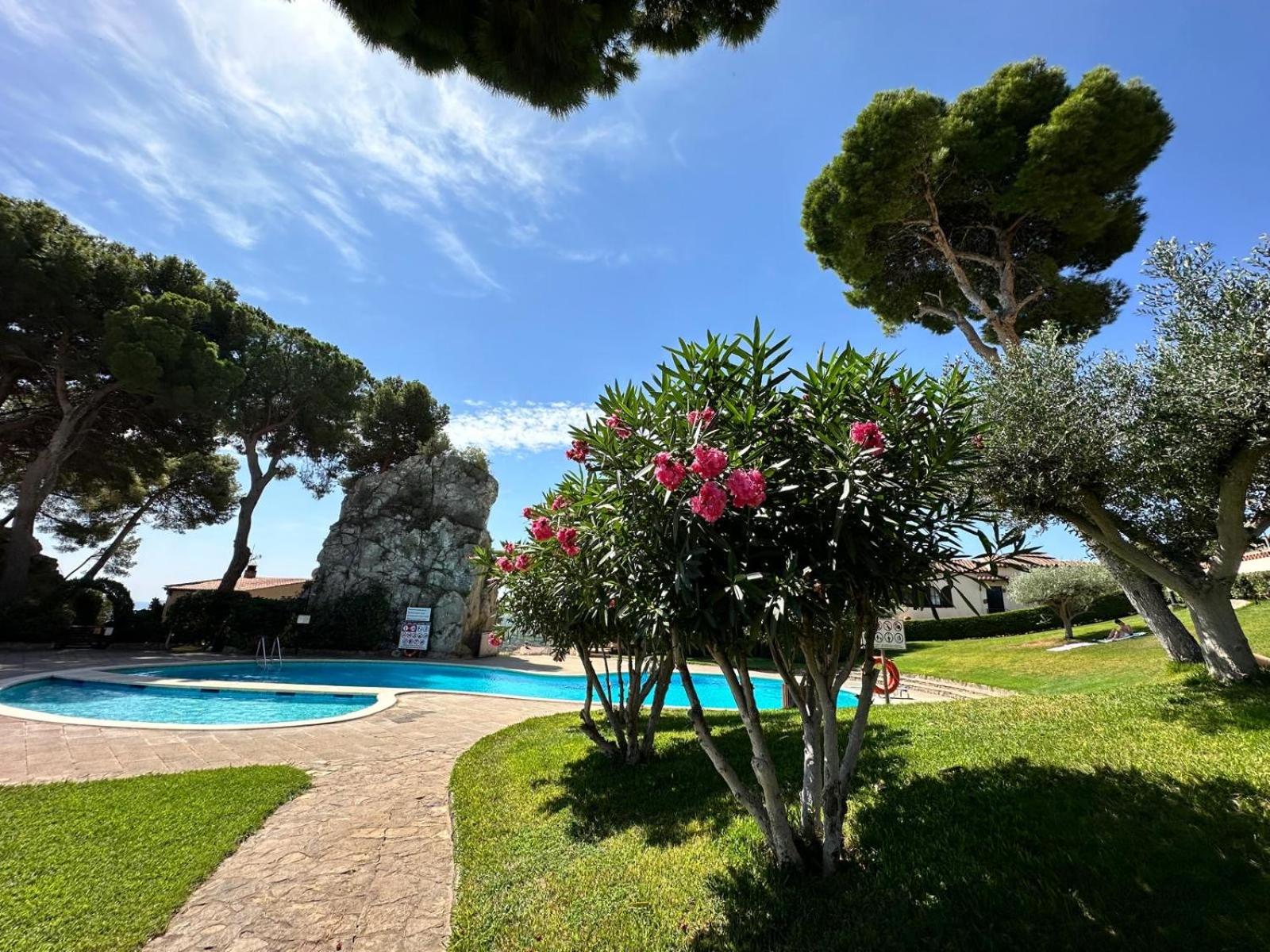 Mediterrania 98 view 2