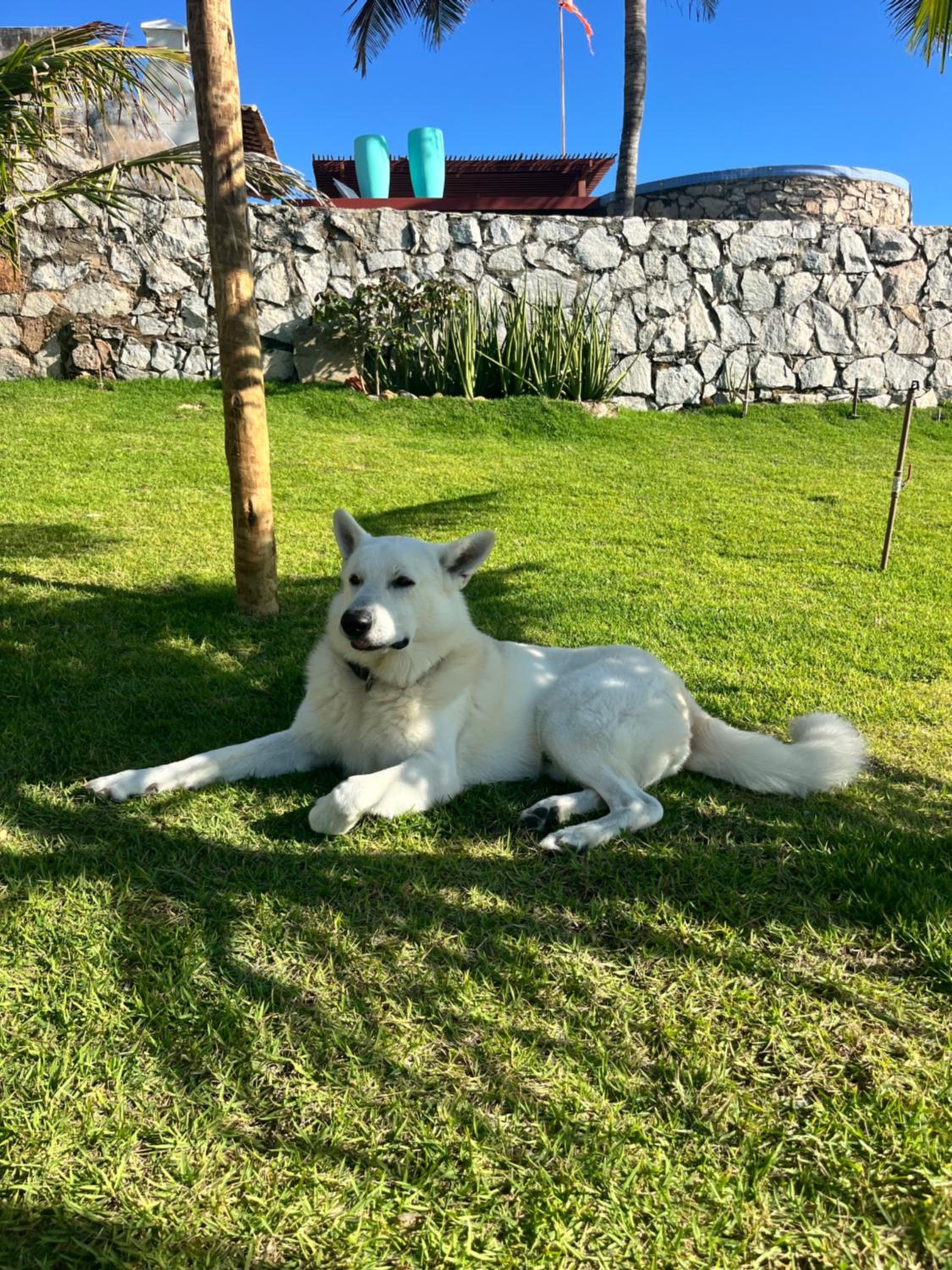 Villa Amarelo