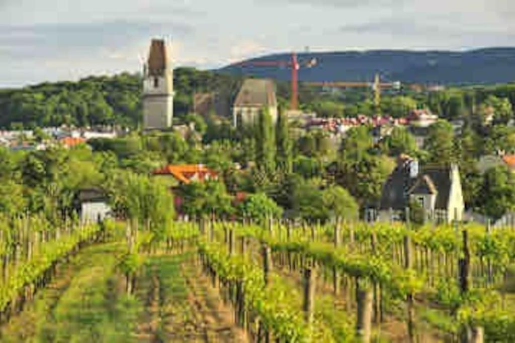 Villa guest suite near Vienna