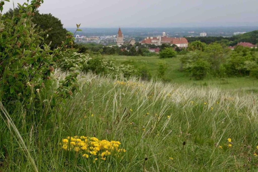 Villa guest suite near Vienna