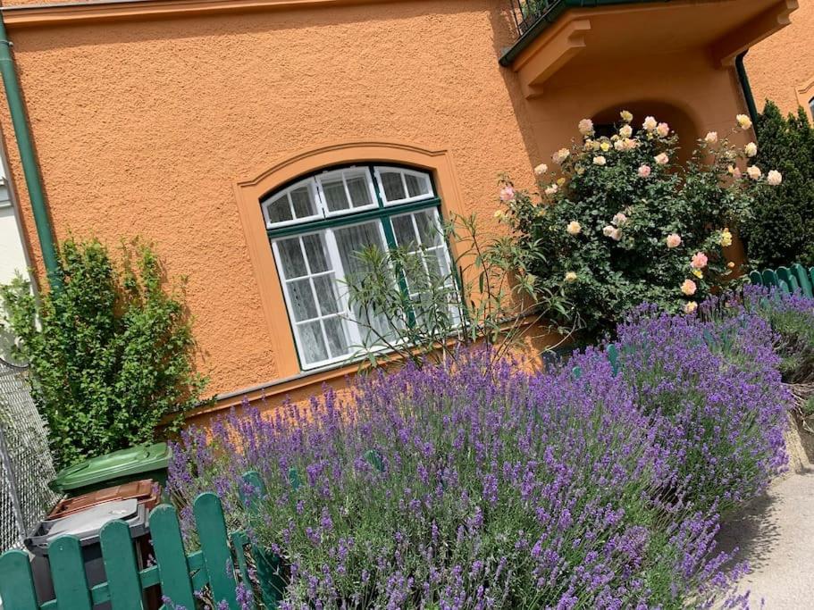 Villa guest suite near Vienna