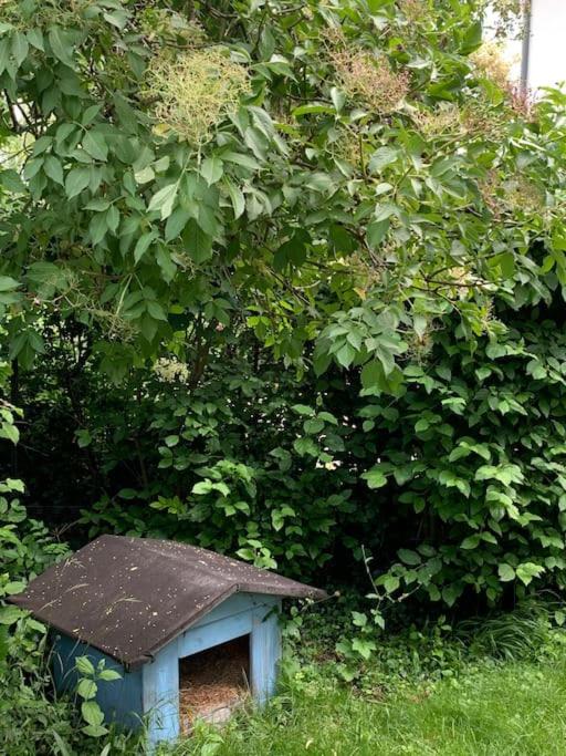 Villa guest suite near Vienna