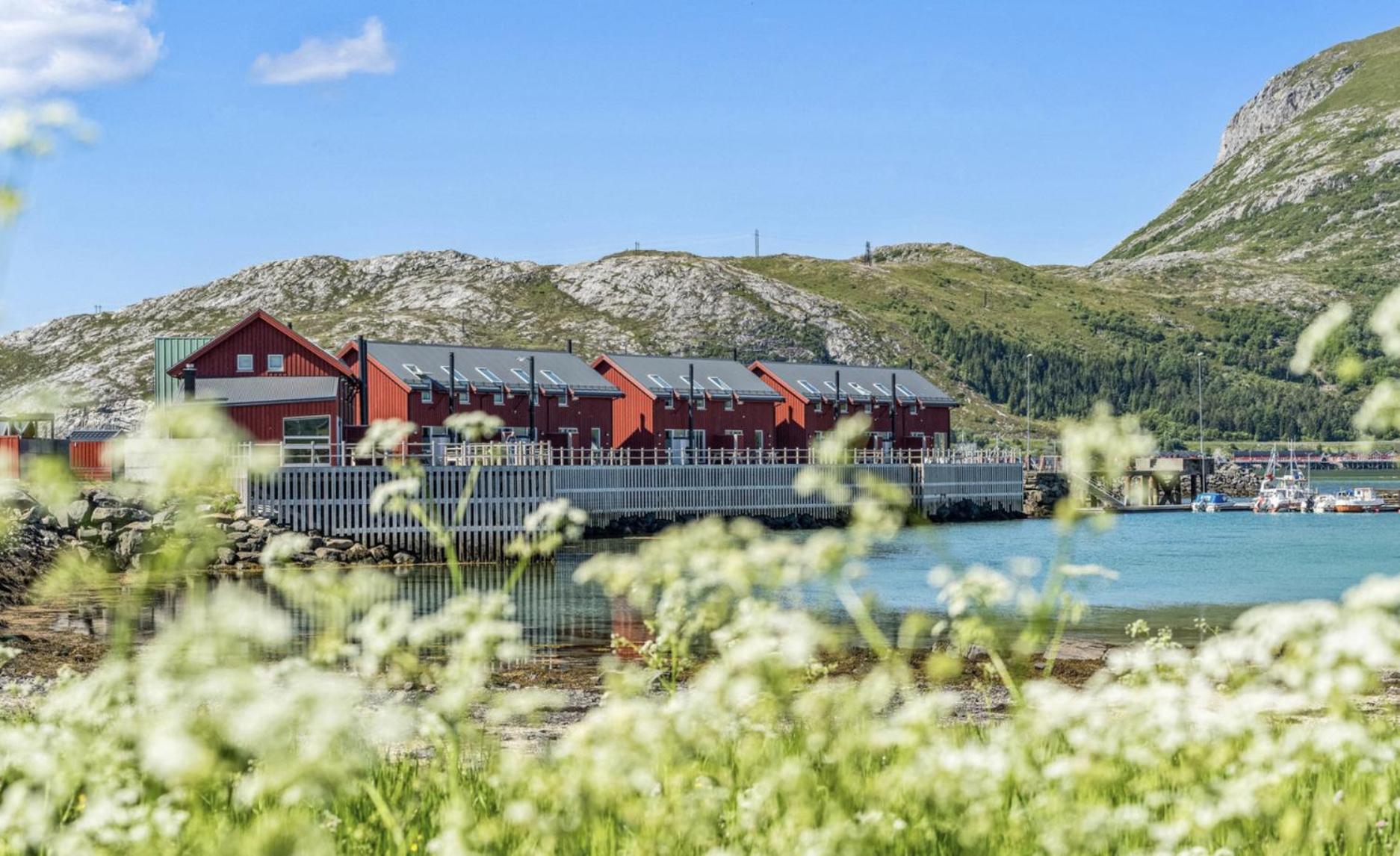 Sjarmerende rorbu i Lofoten view 2