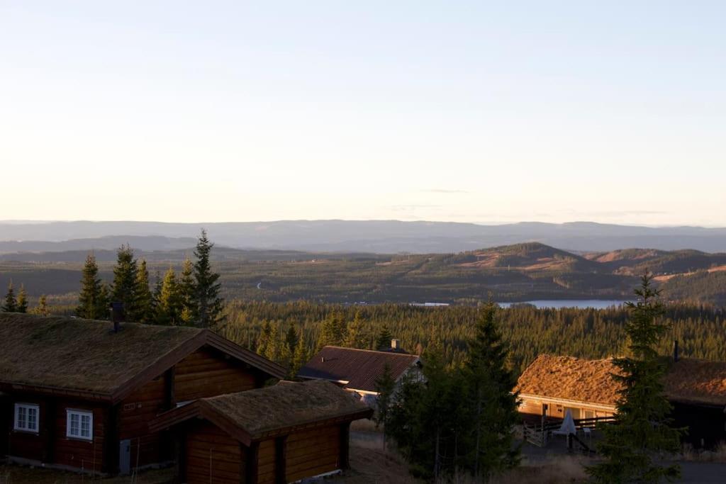 Koselig familiehytte på Rømåsen