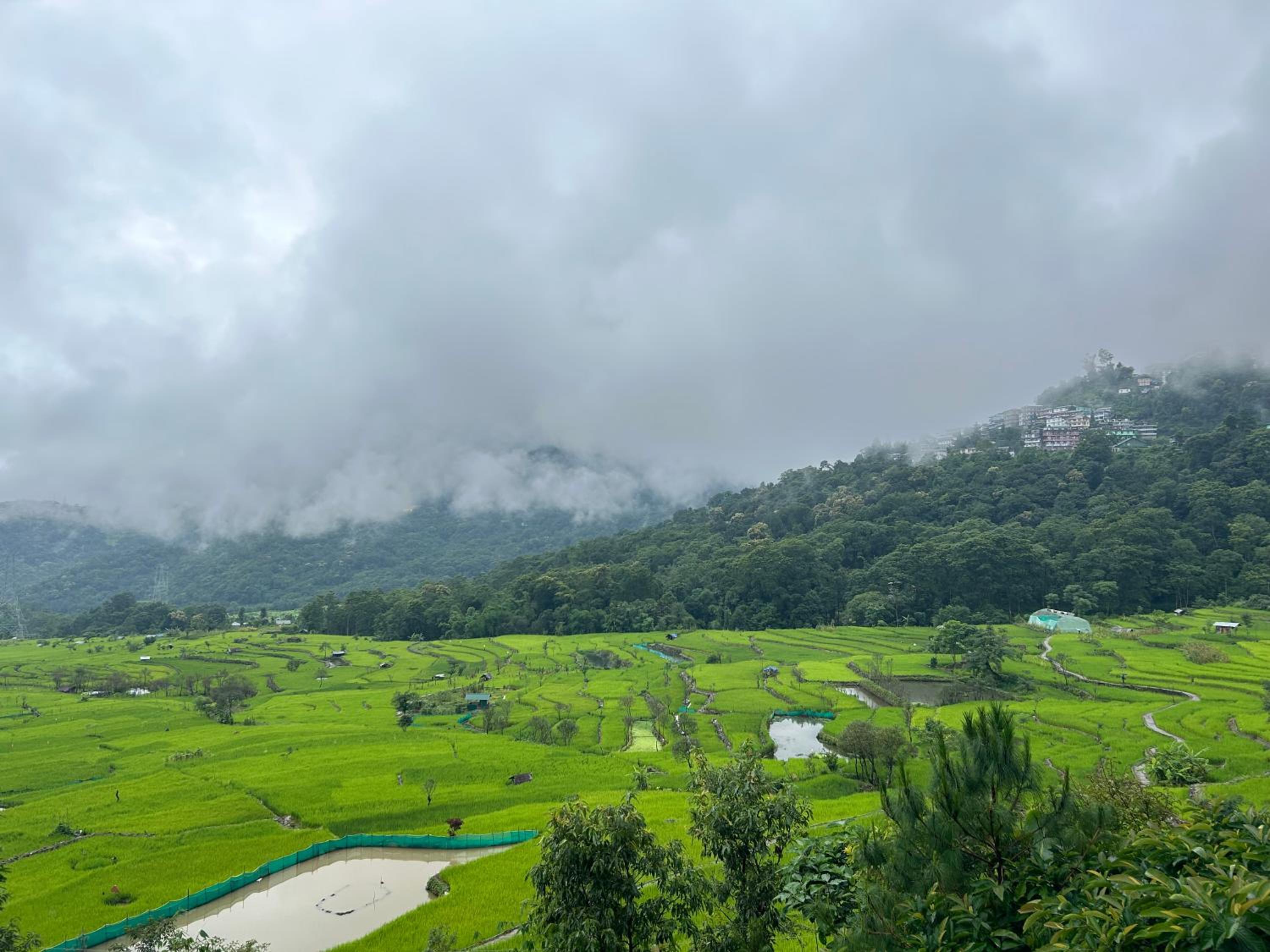 Athuo Homestay