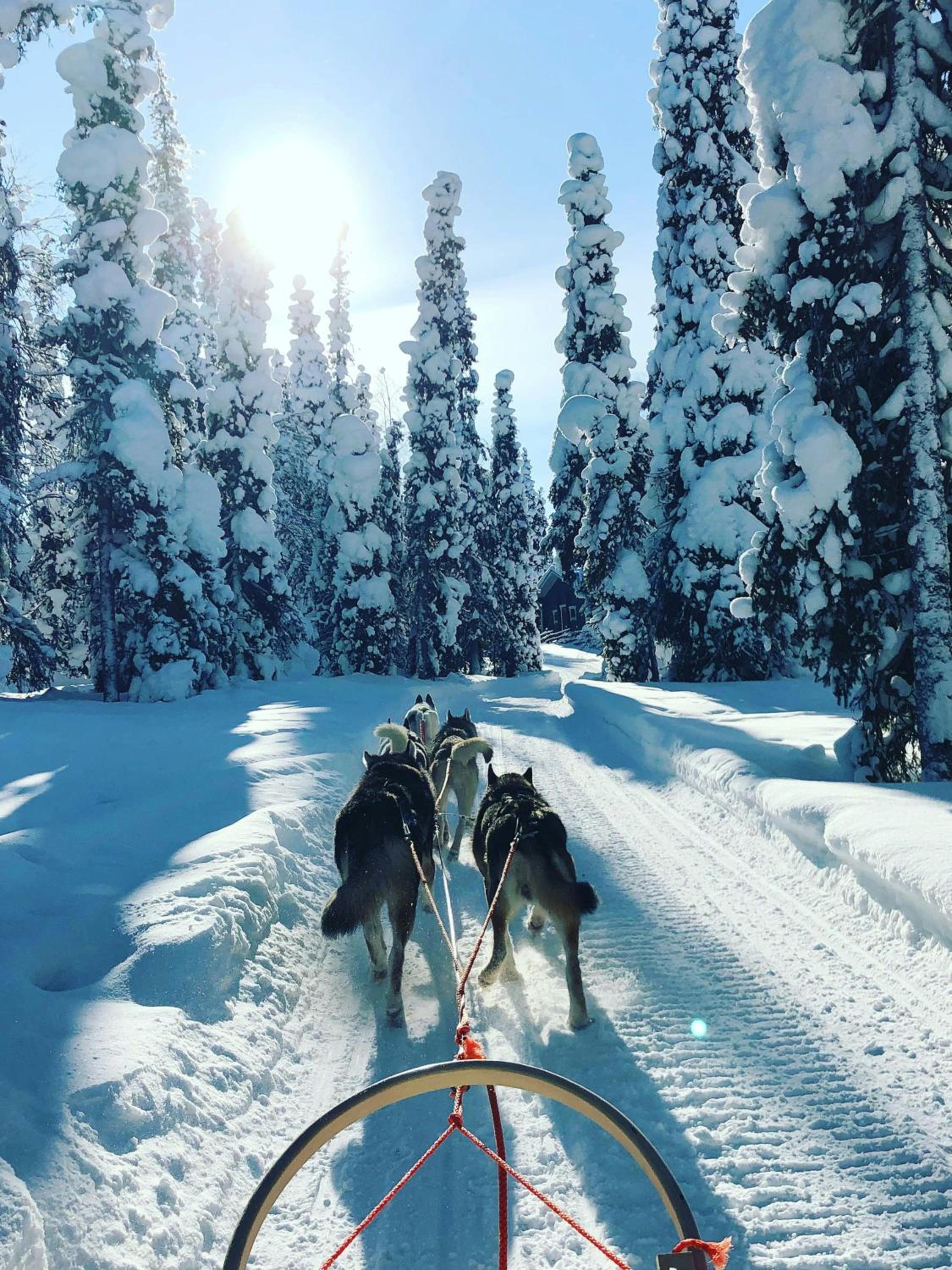 Arctic Home Experience view 5