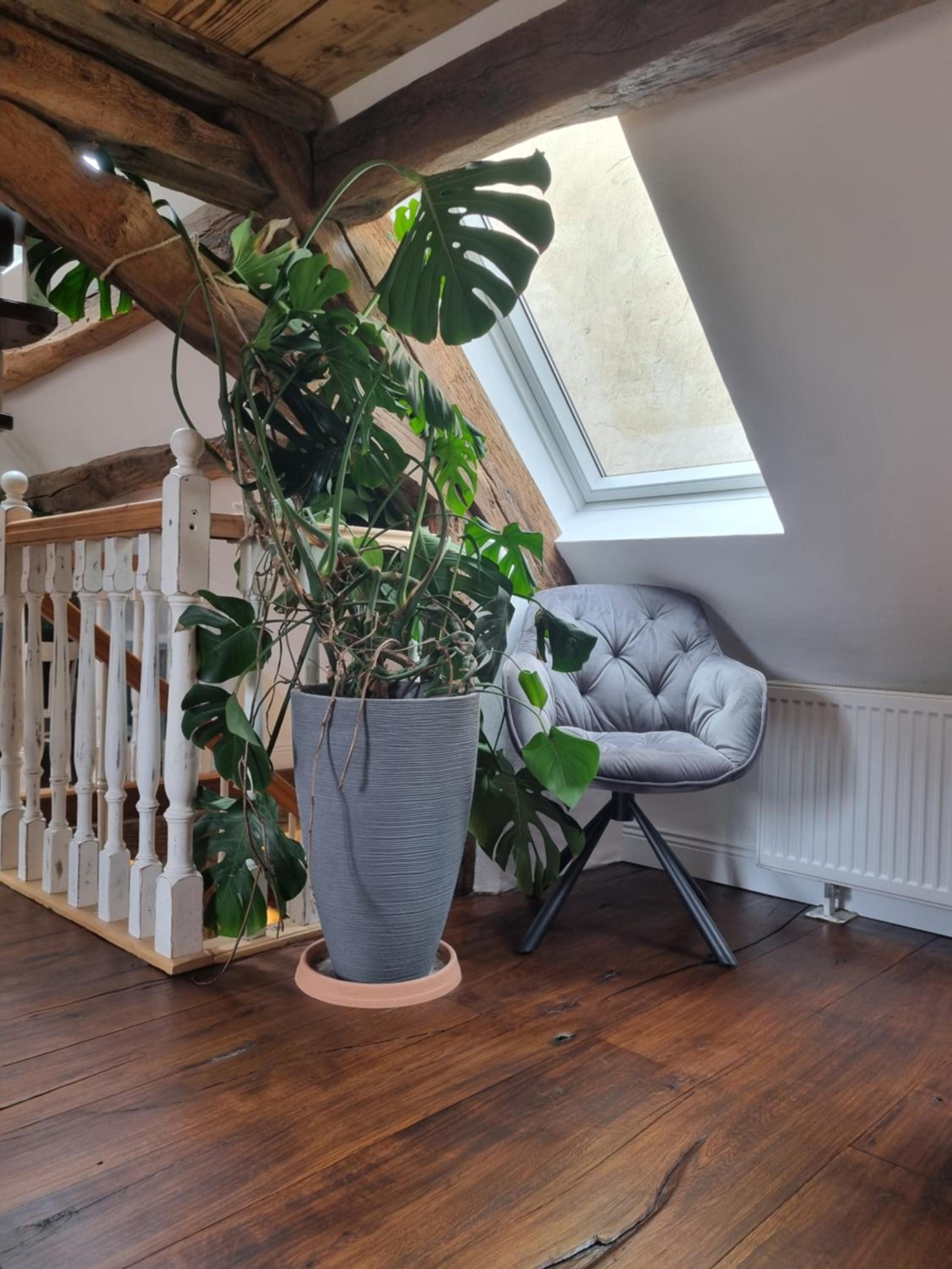 Nachtwächterhäuschen mit Sauna