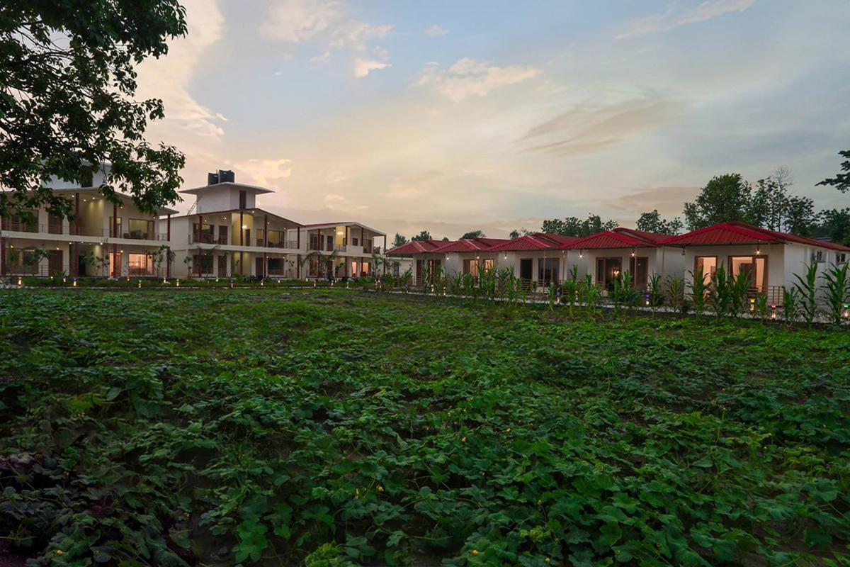 Corbett Tranquil Tigers Resort