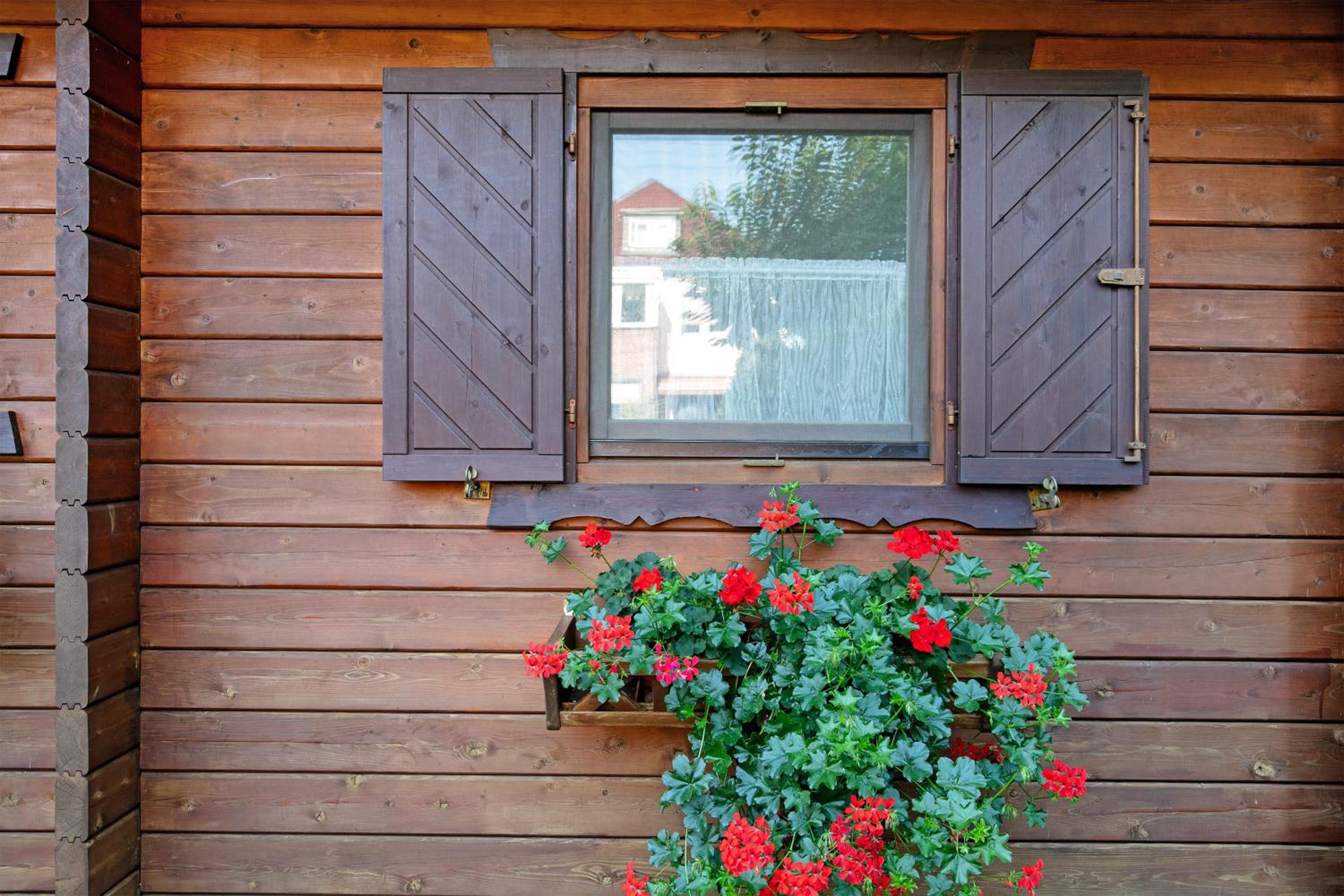 Haus Cürsgen - Blockhaus Jana