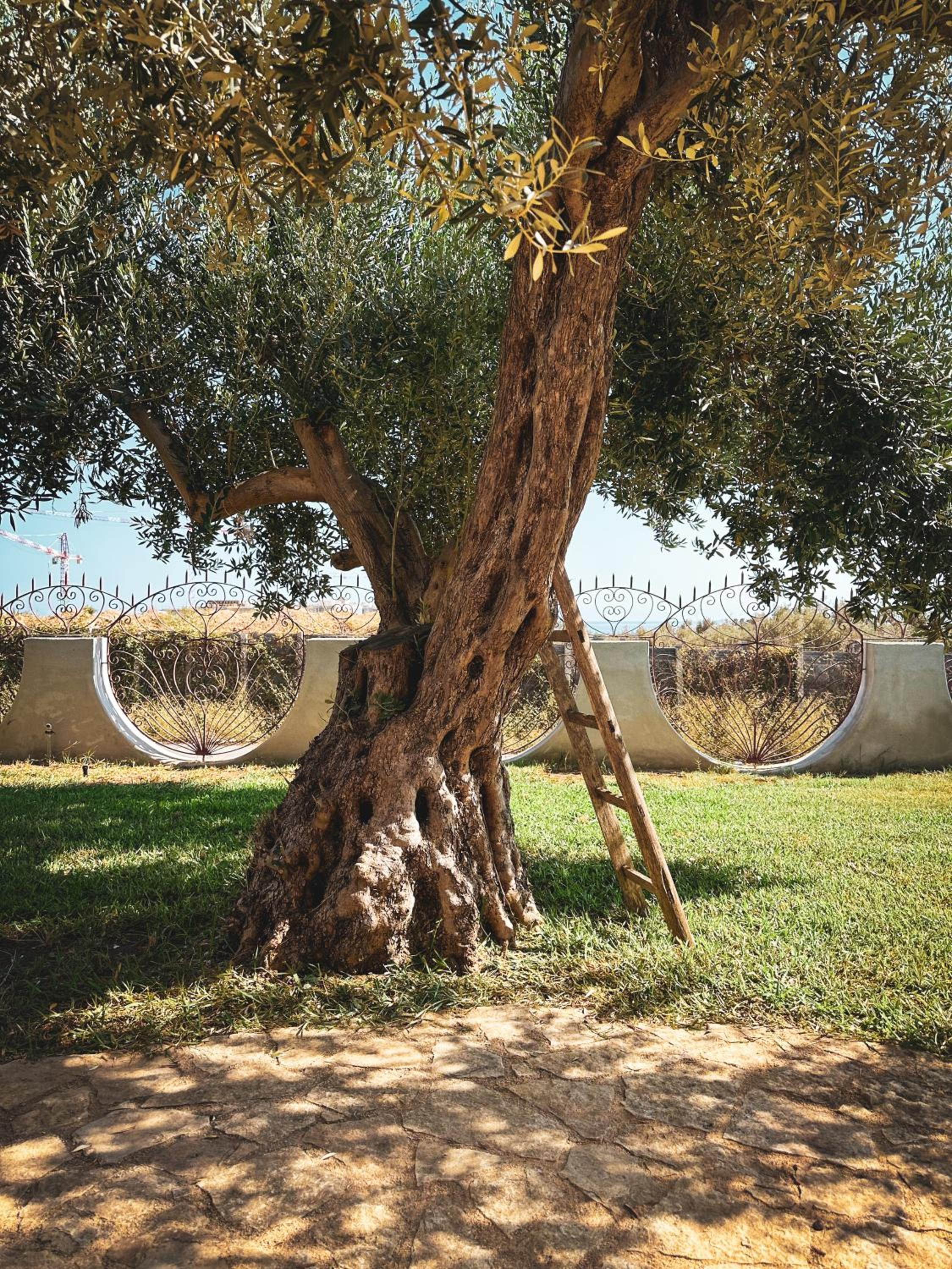 Dimora Harmonia