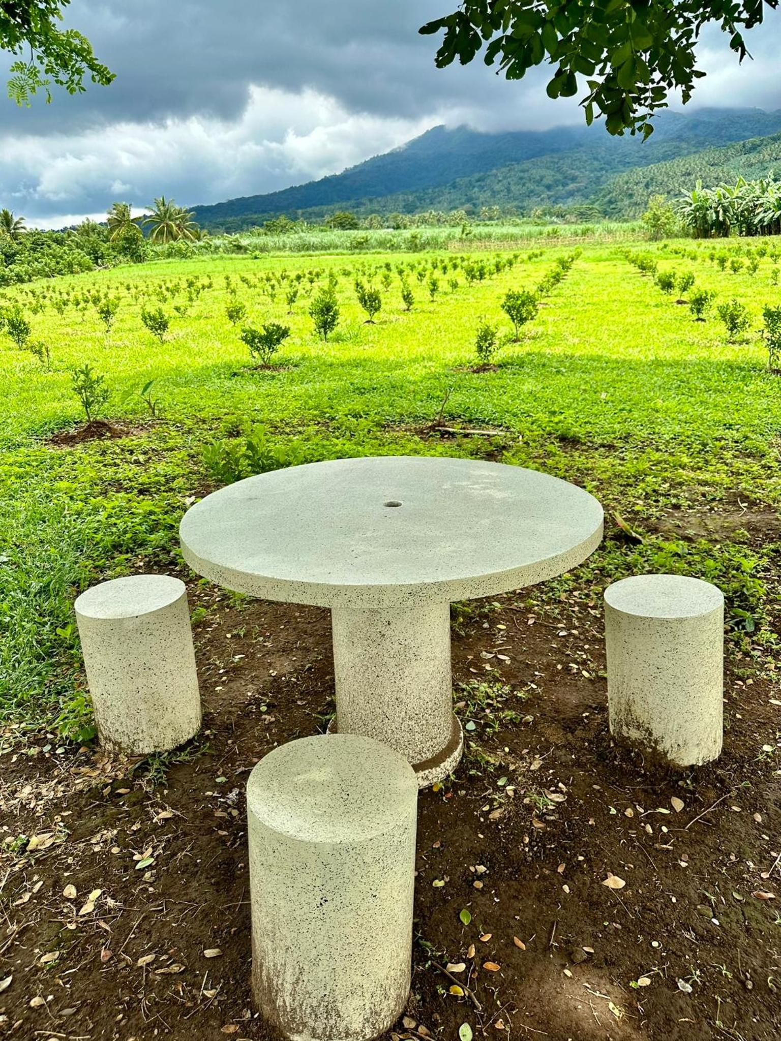 Highland Cabin at Mt Isarog view 5