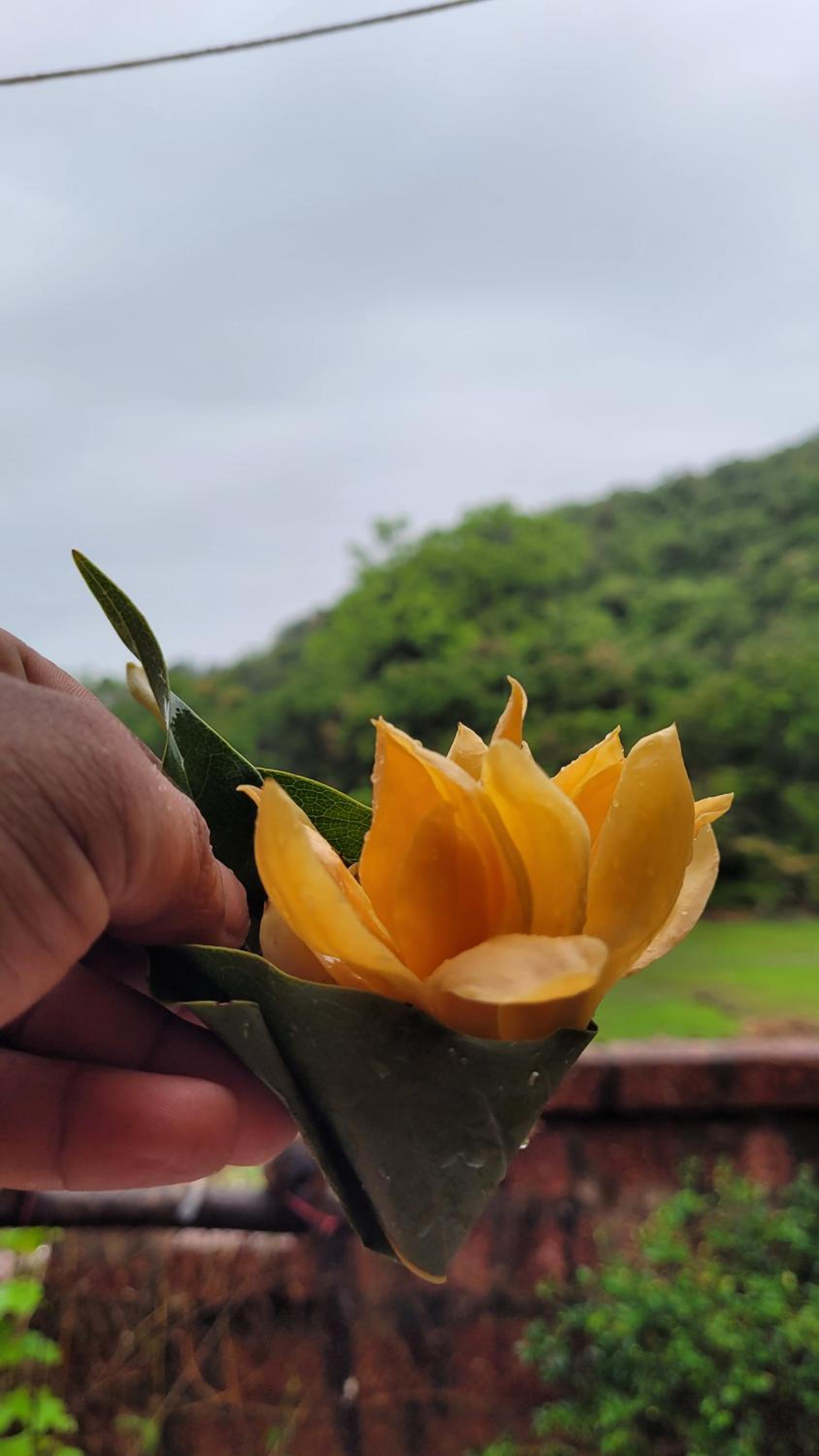 Aranya Home Stay Malvan view 4