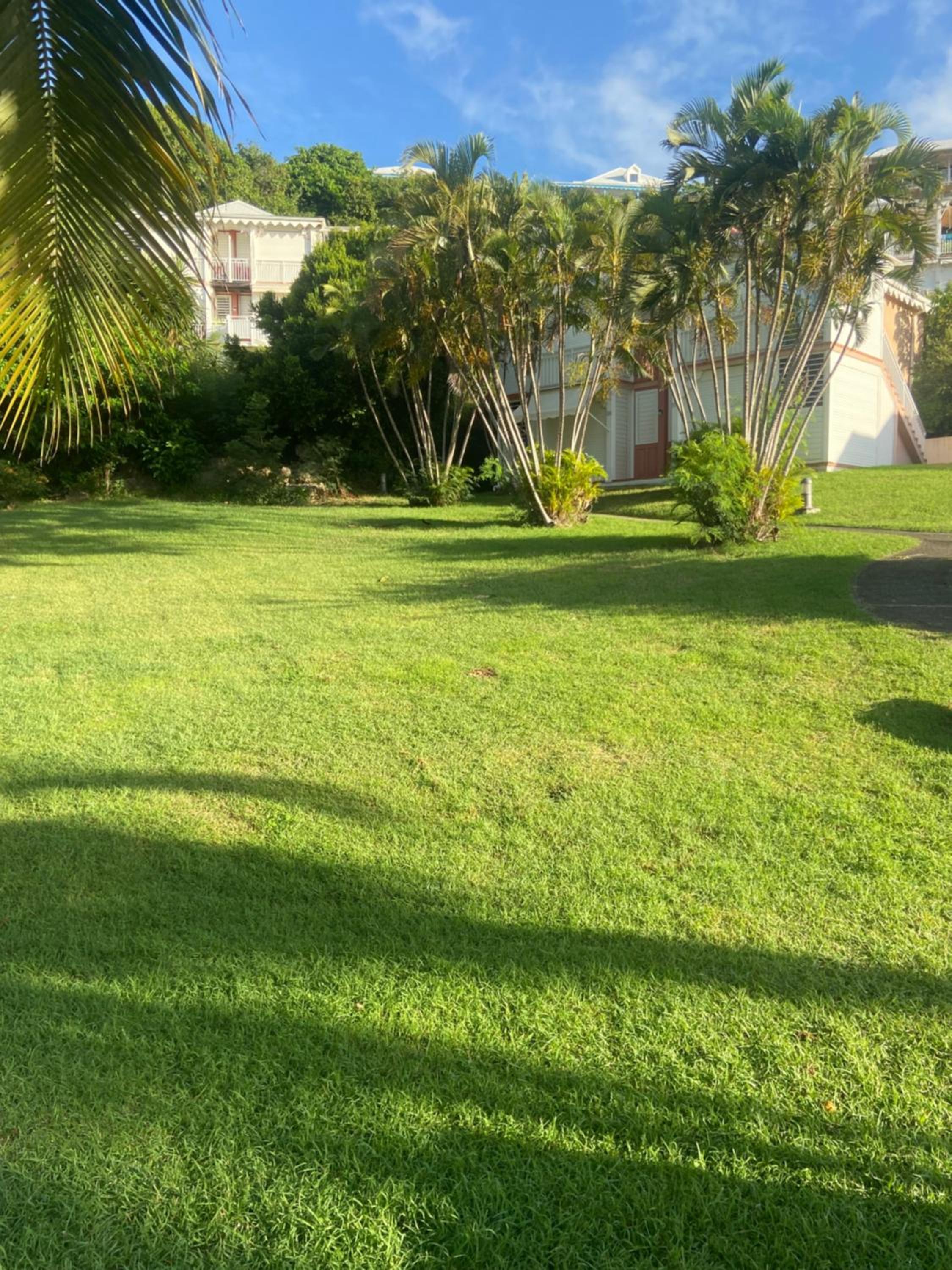 Photo 82
