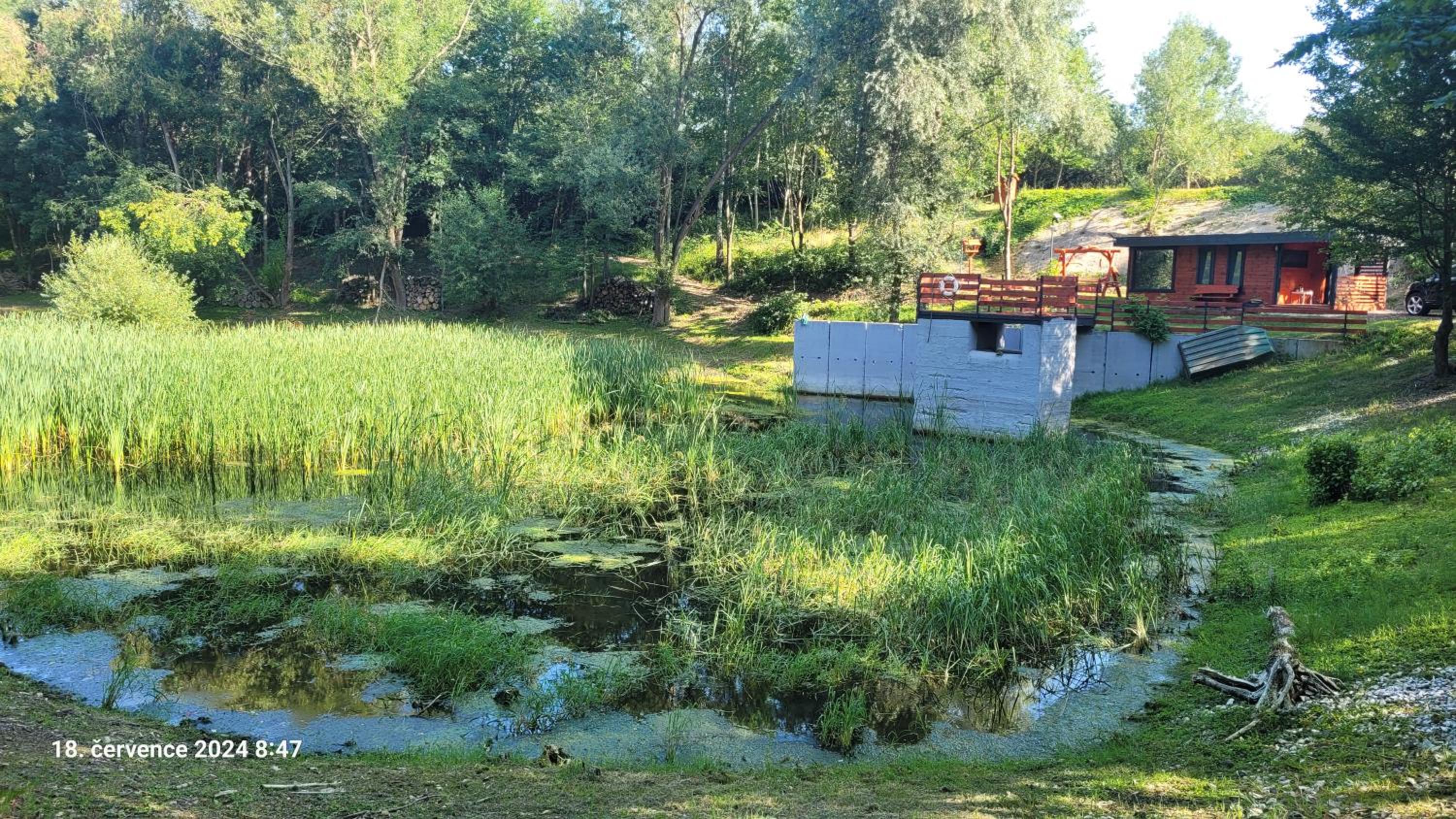 Glamping U žabky
