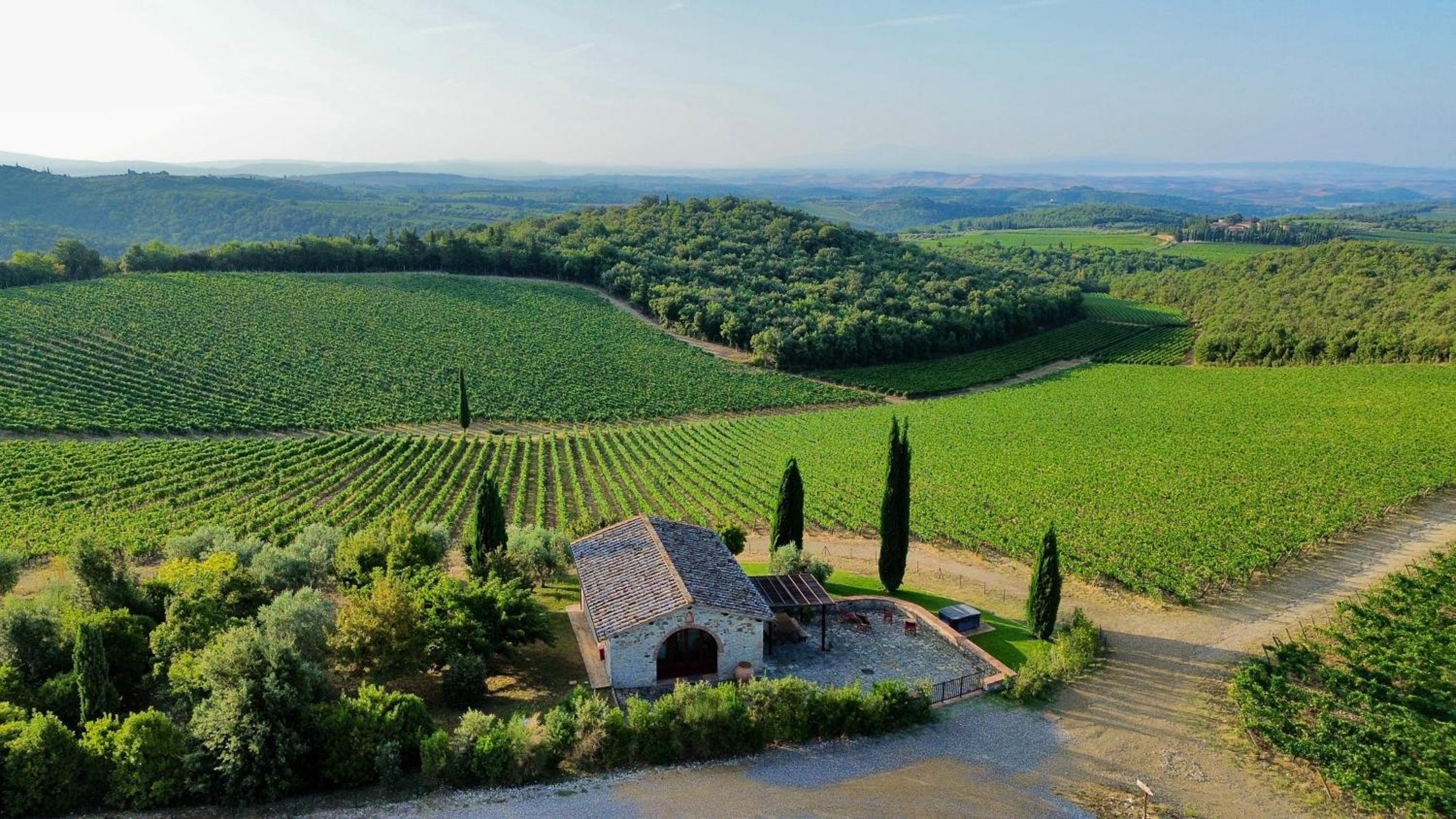 RICASOLI, Capanna di Citerna