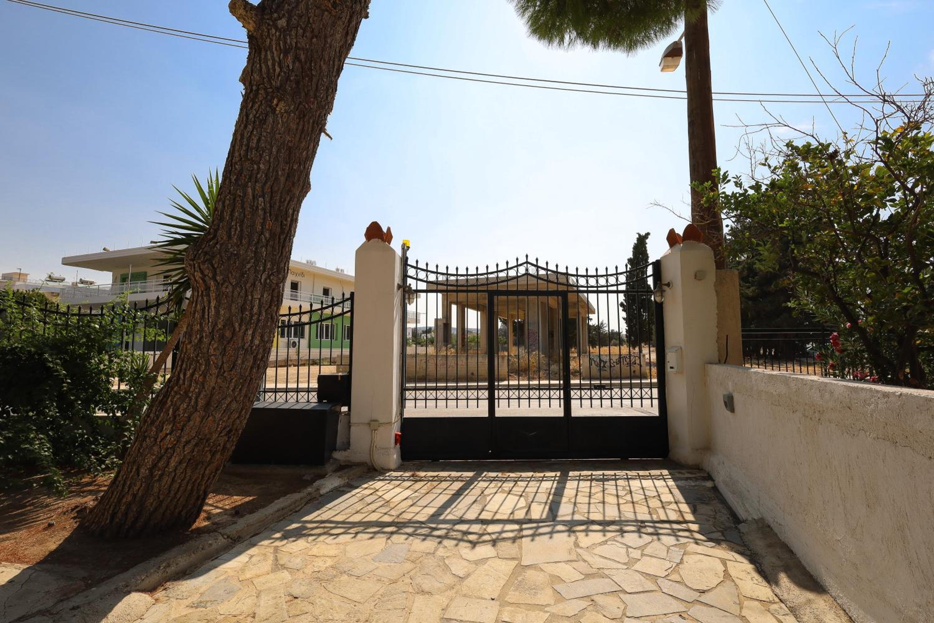 My Greek Oasis photo 3