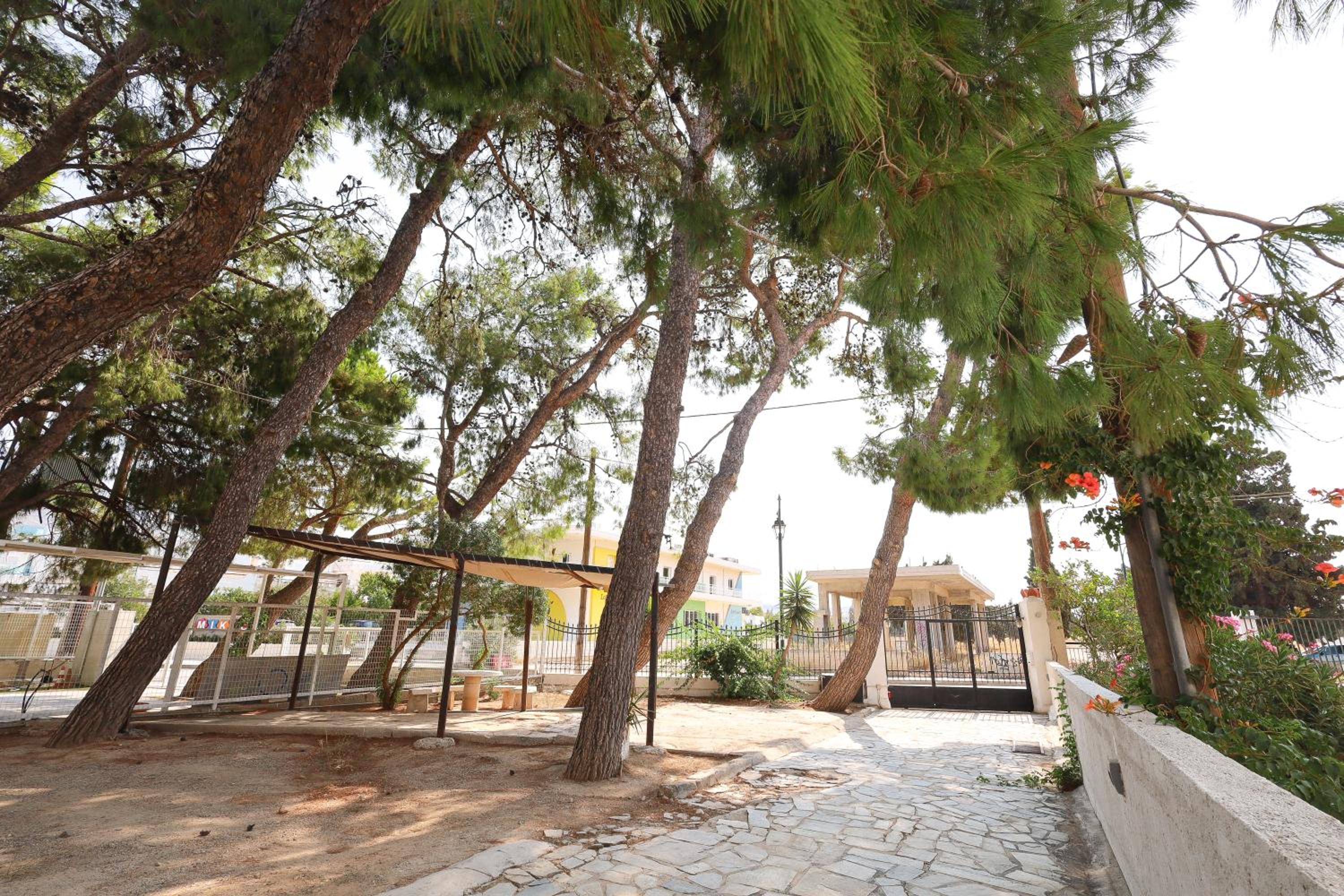 My Greek Oasis photo 4