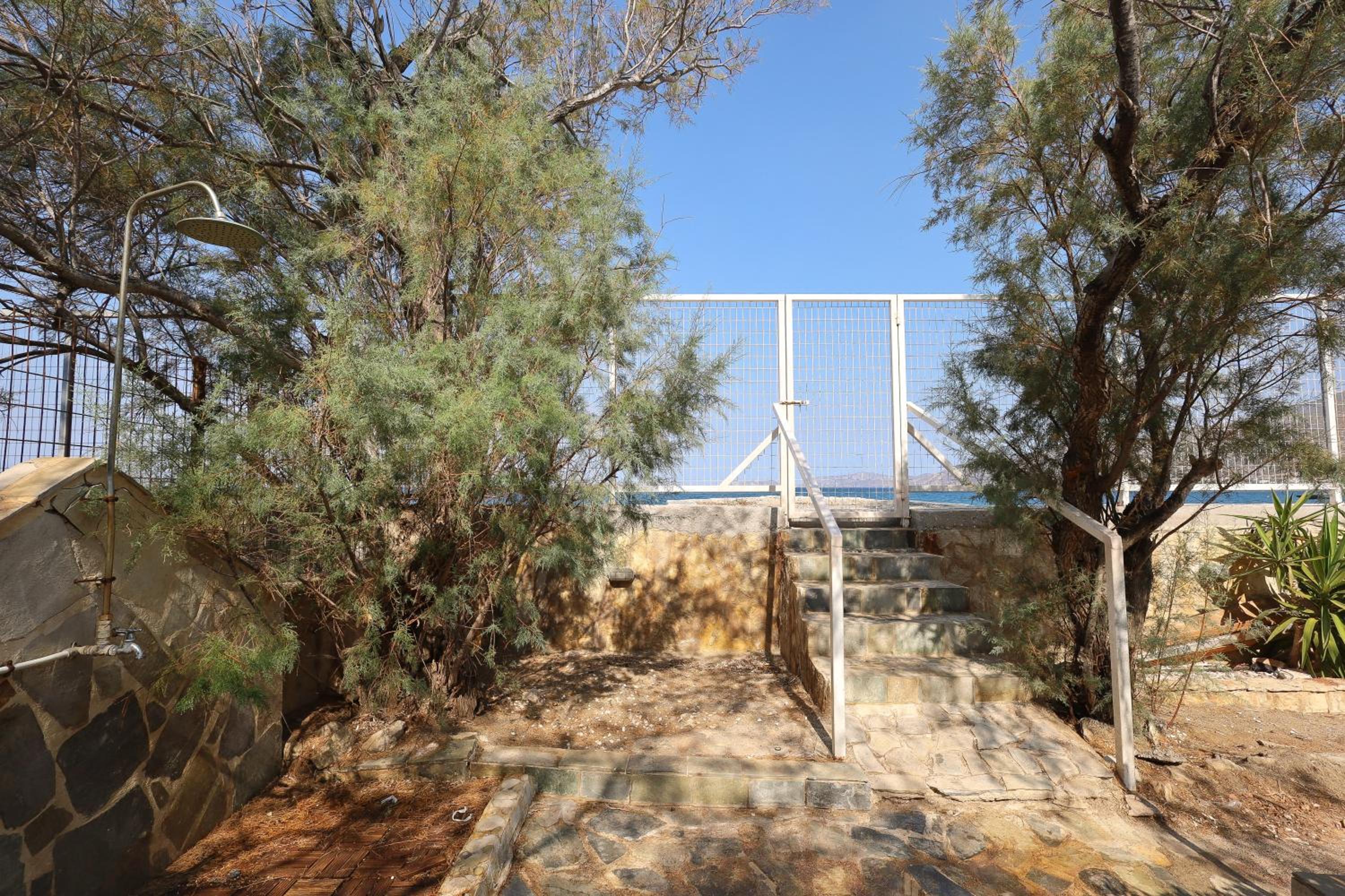 My Greek Oasis photo 5