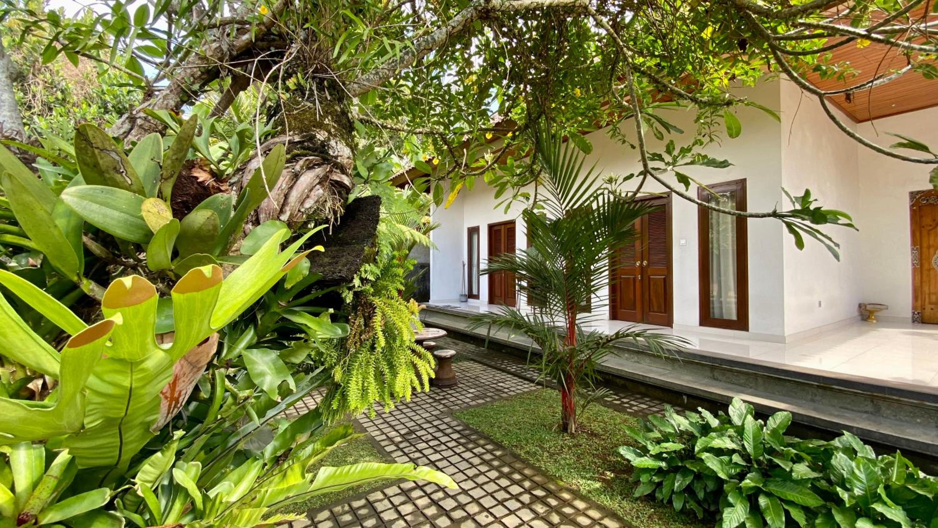 Willow Homestay