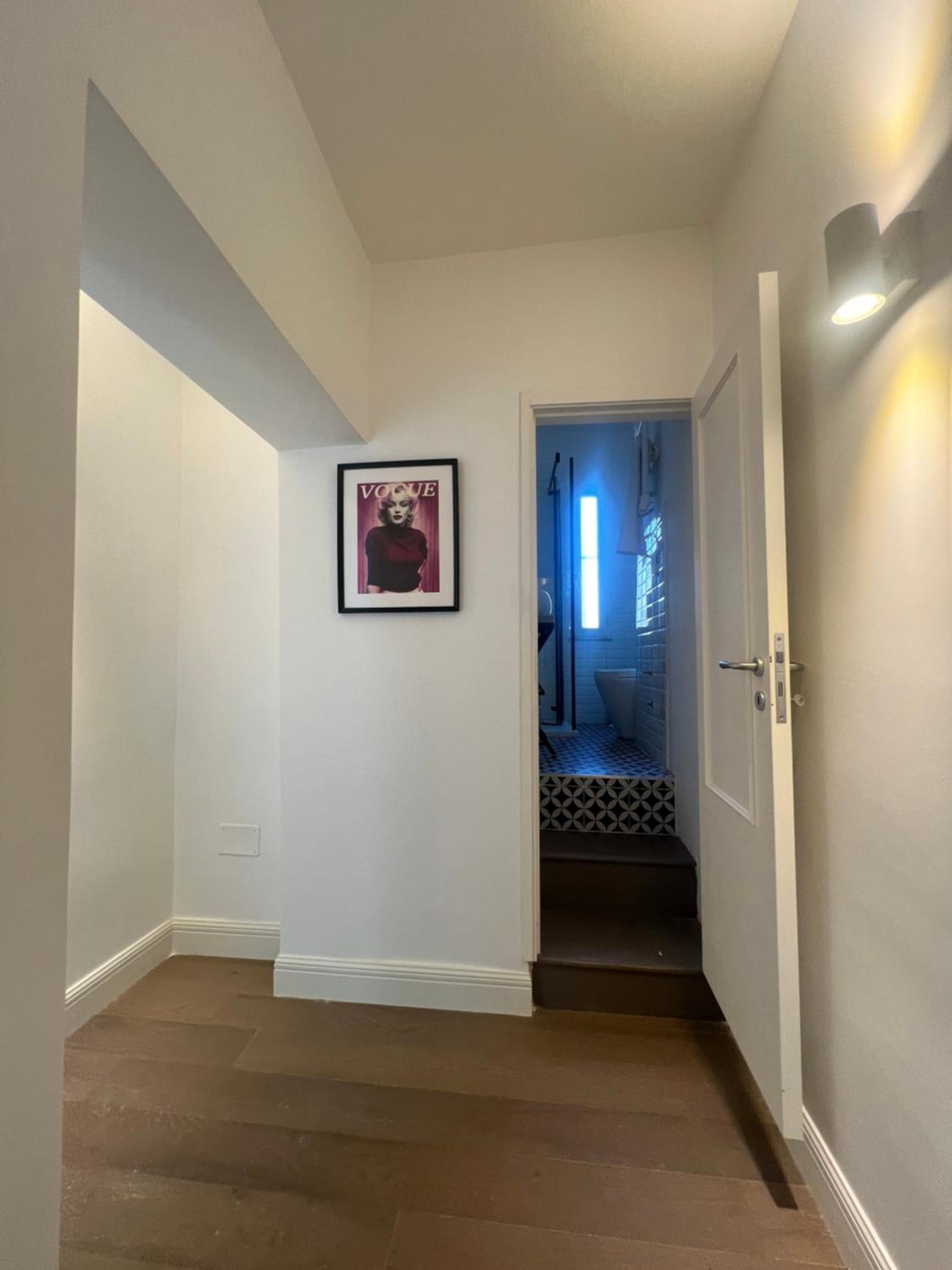 Lion Suite