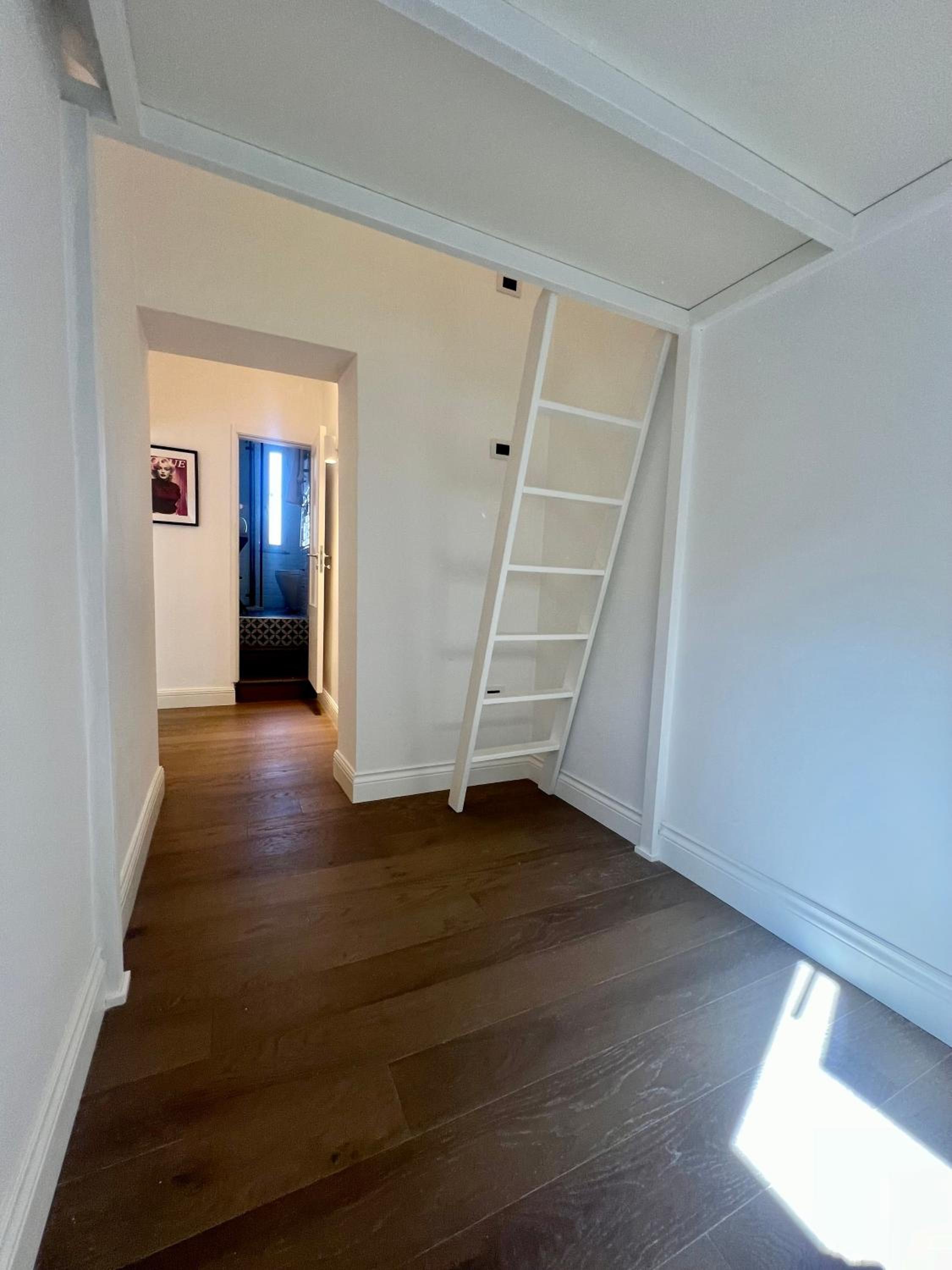 Lion Suite