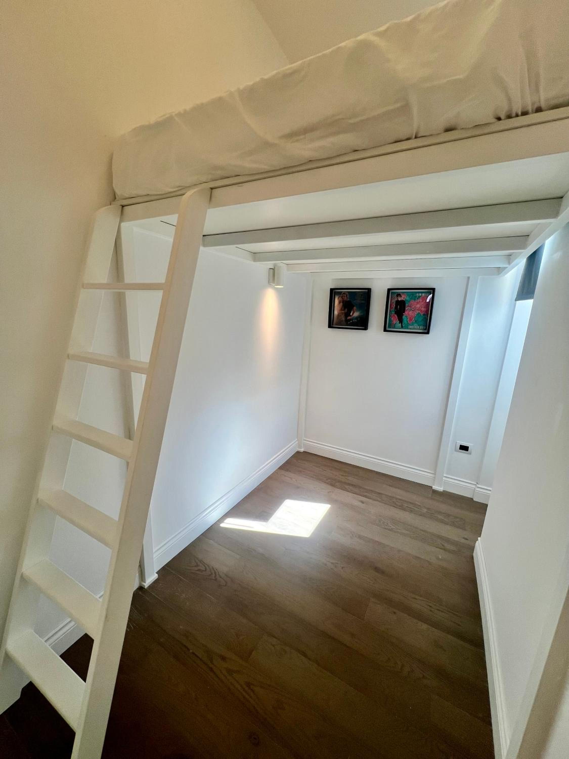 Lion Suite