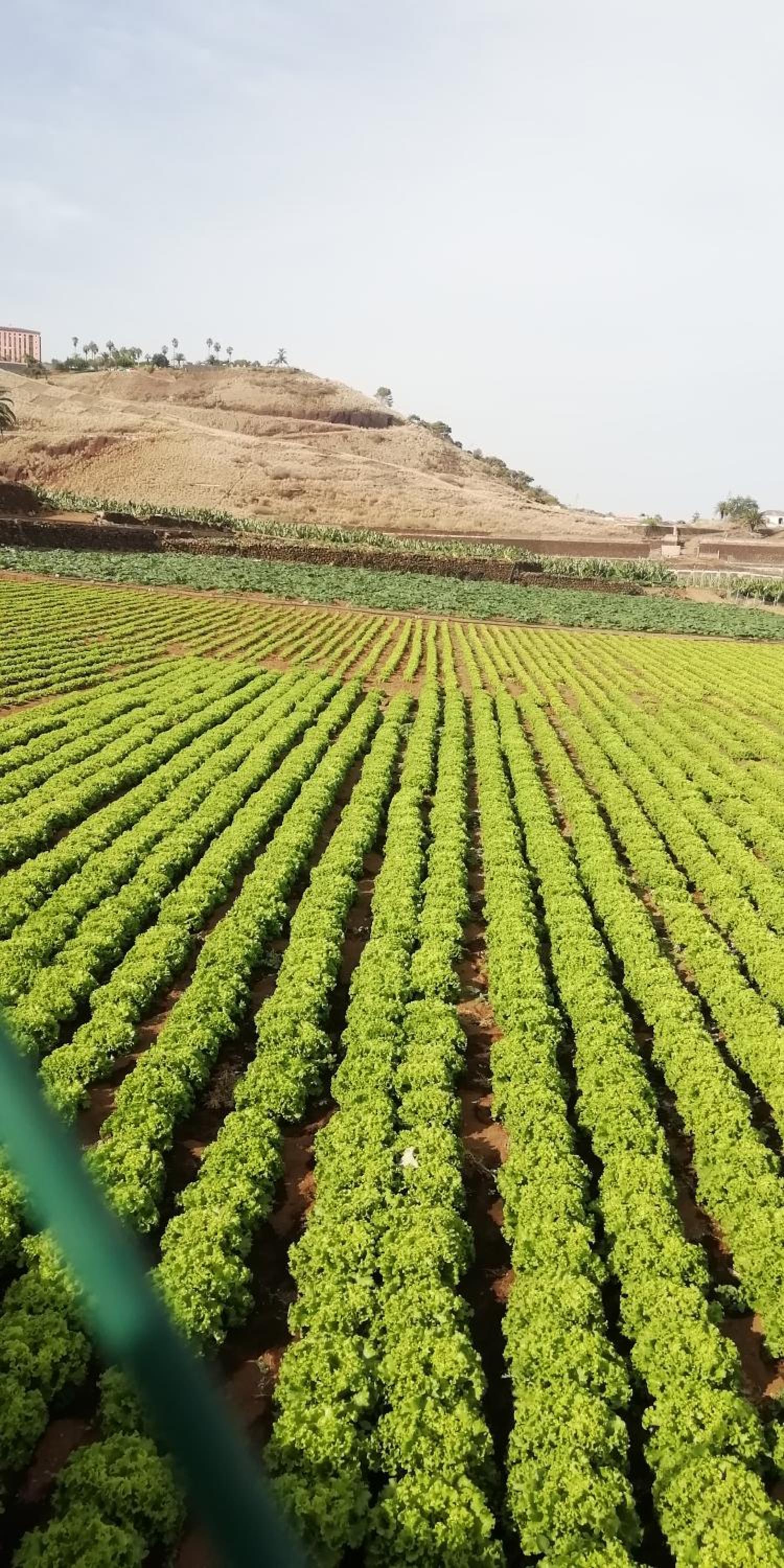 Finca Las Tapias, Glorieta