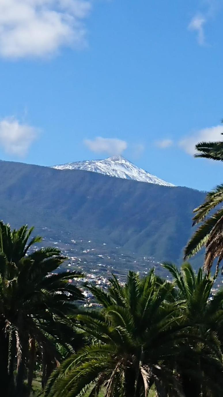 Finca Las Tapias, Glorieta
