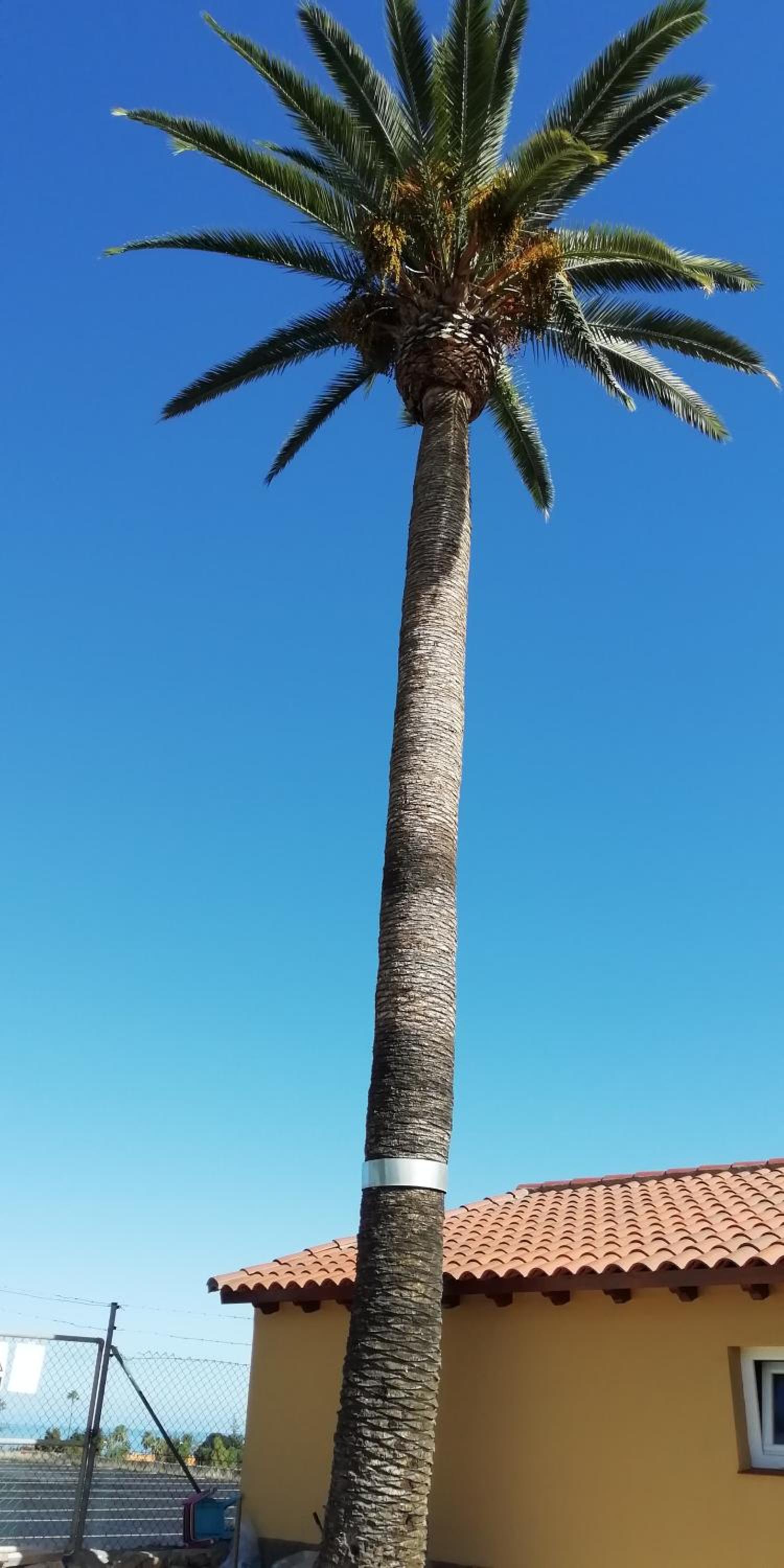 Finca Las Tapias, Glorieta