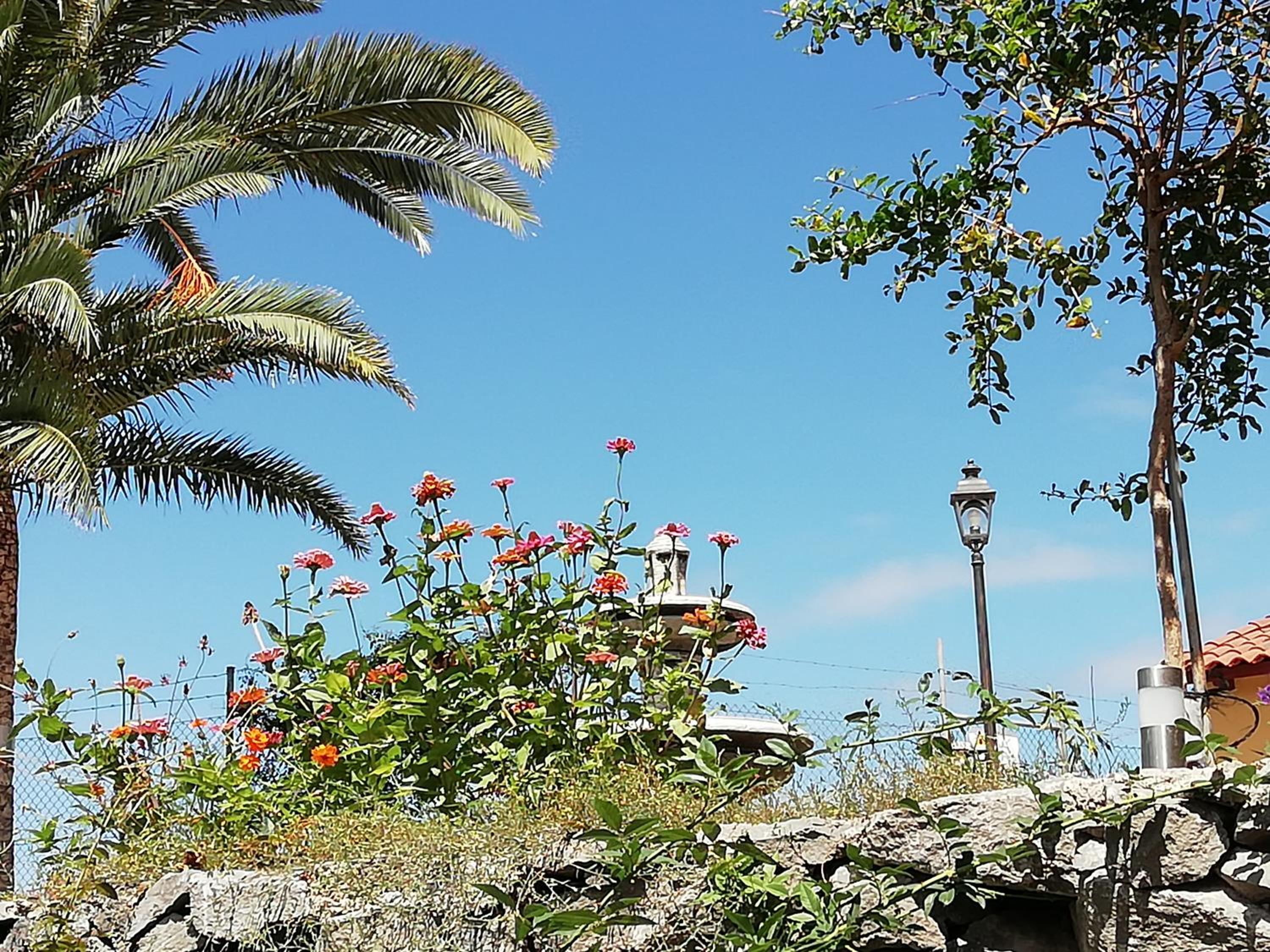 Finca Las Tapias, Glorieta