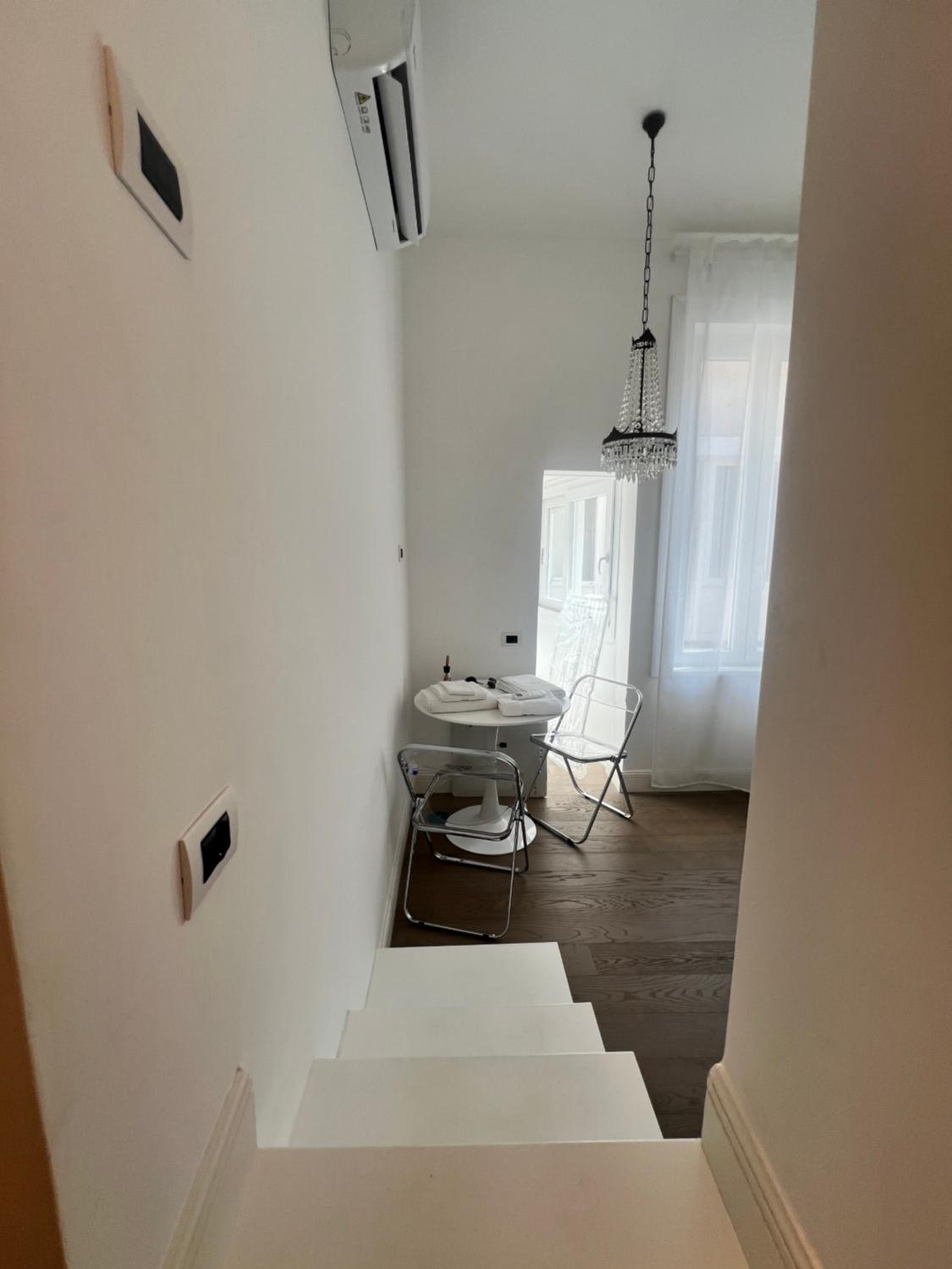 Lion Suite