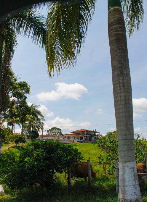 Finca Villa La Paloma