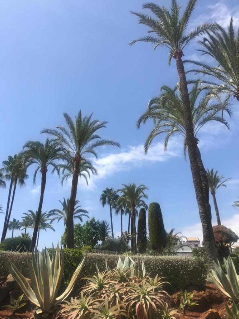 Dominion Beach Estepona