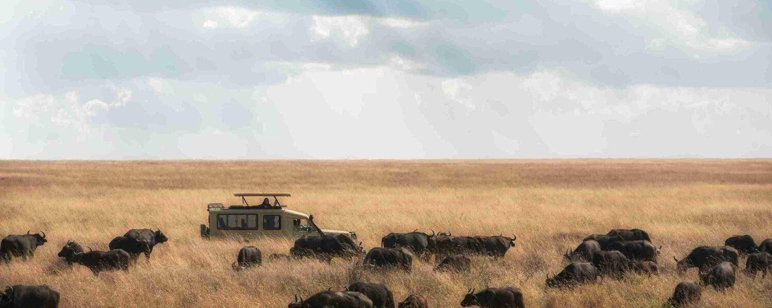 Kalunguyeye Safaris view 2
