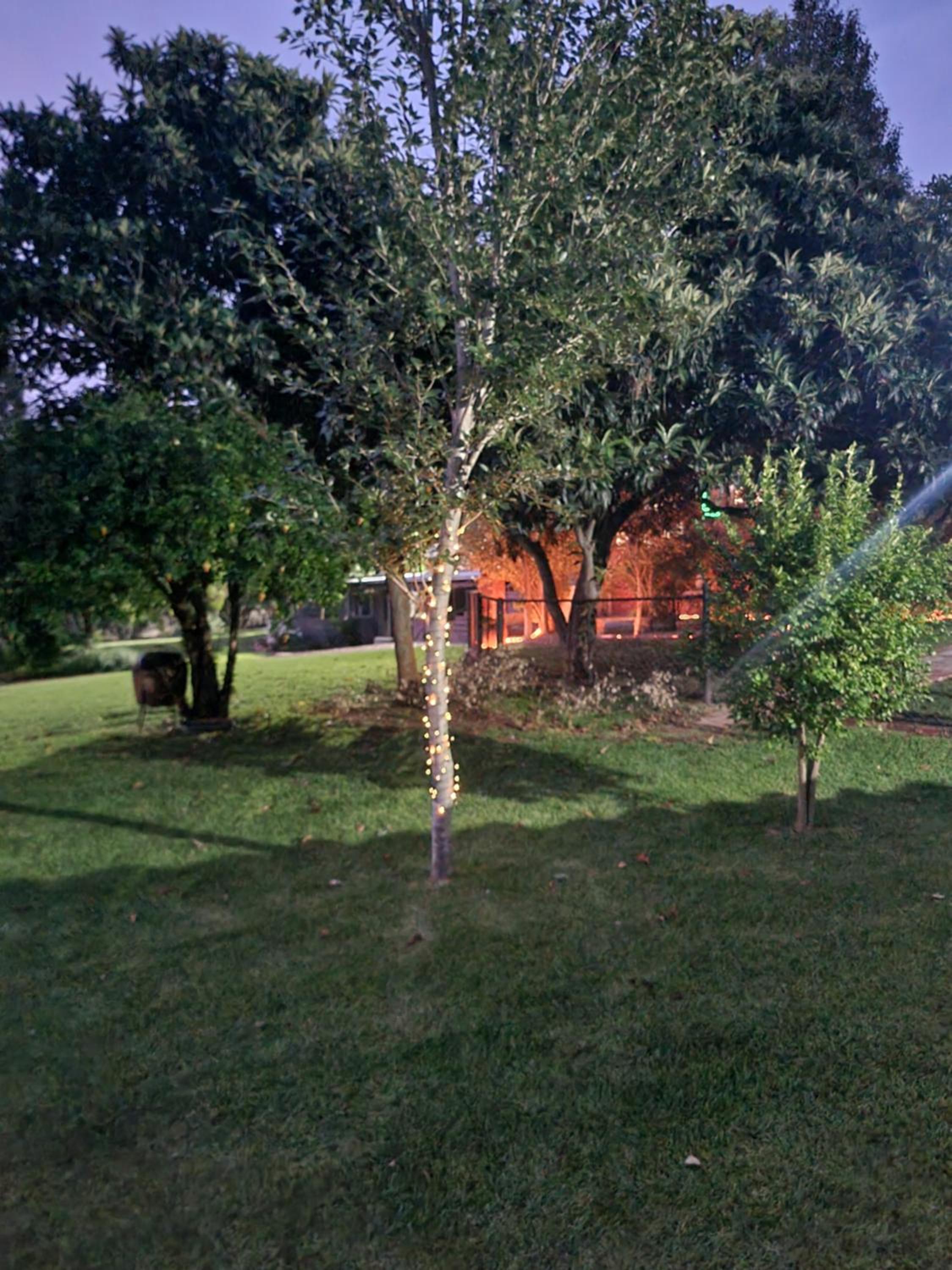 Photo 27
