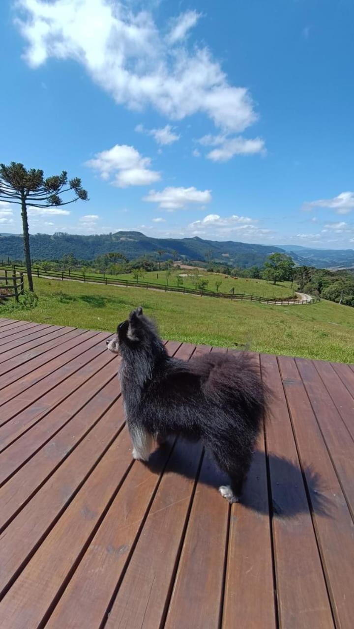 Cabana na montanha, com hidro e Vista espetacular