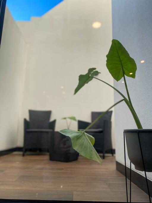Studio Moderno con Patio Privado
