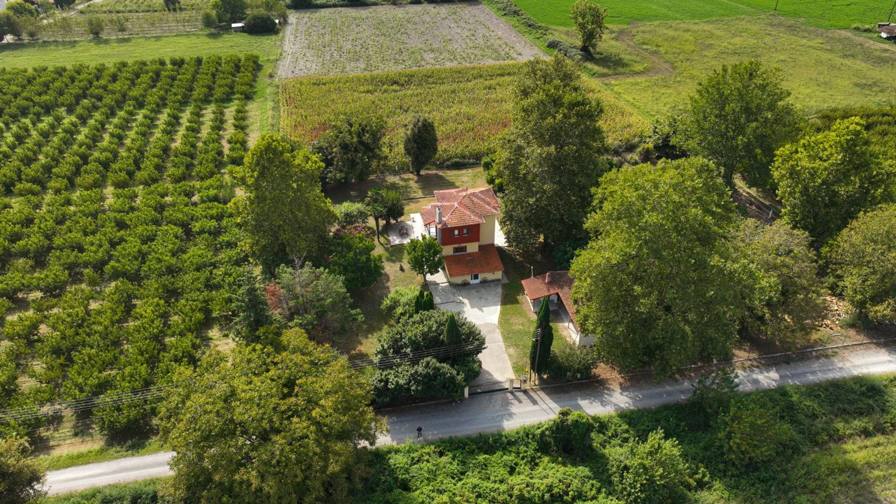 Nikola's Garden view 2